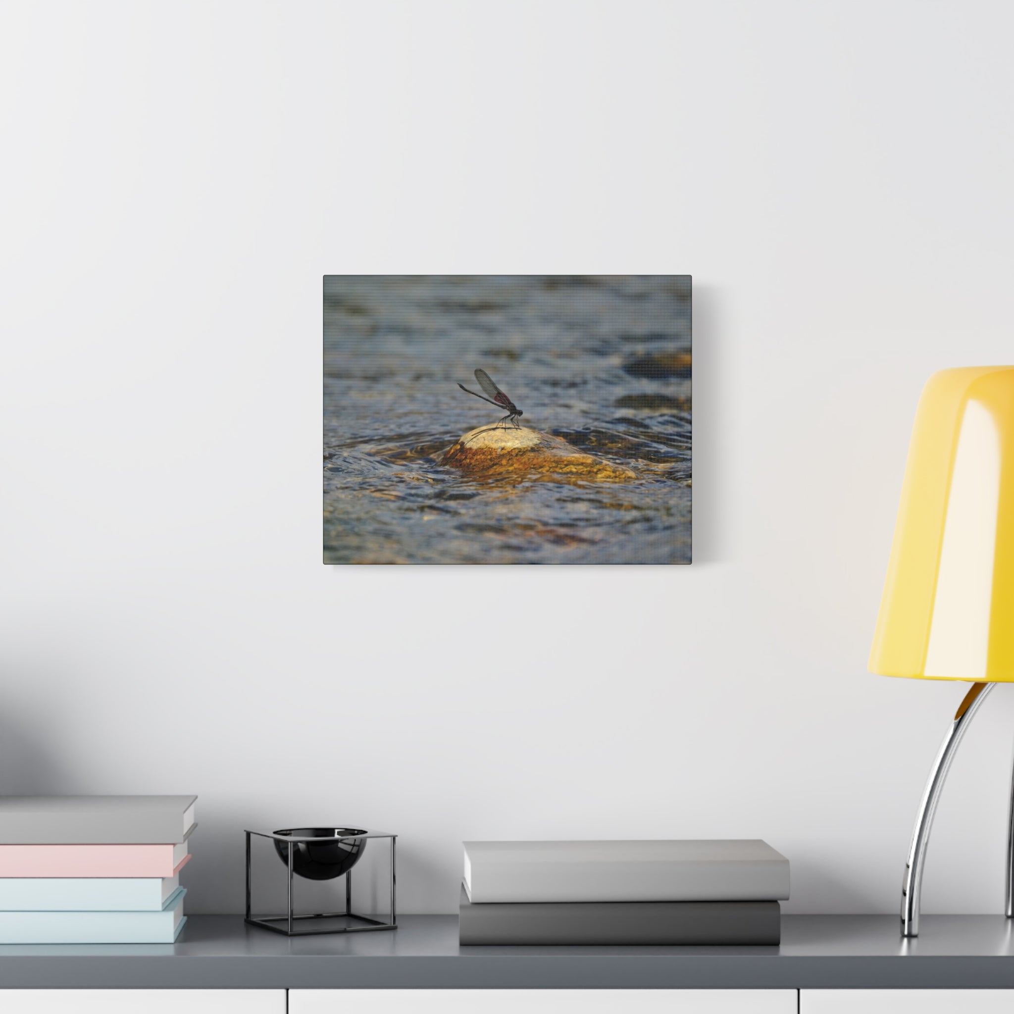 Damselfly on River Rock - Matte Canvas Print