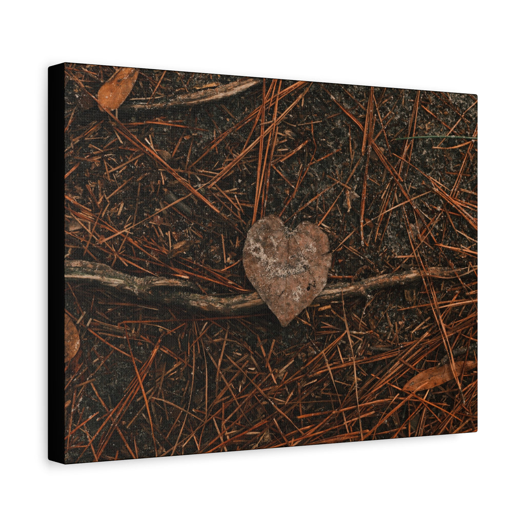 Love Your Forest Canvas Print – Rustic Nature Wall Art
