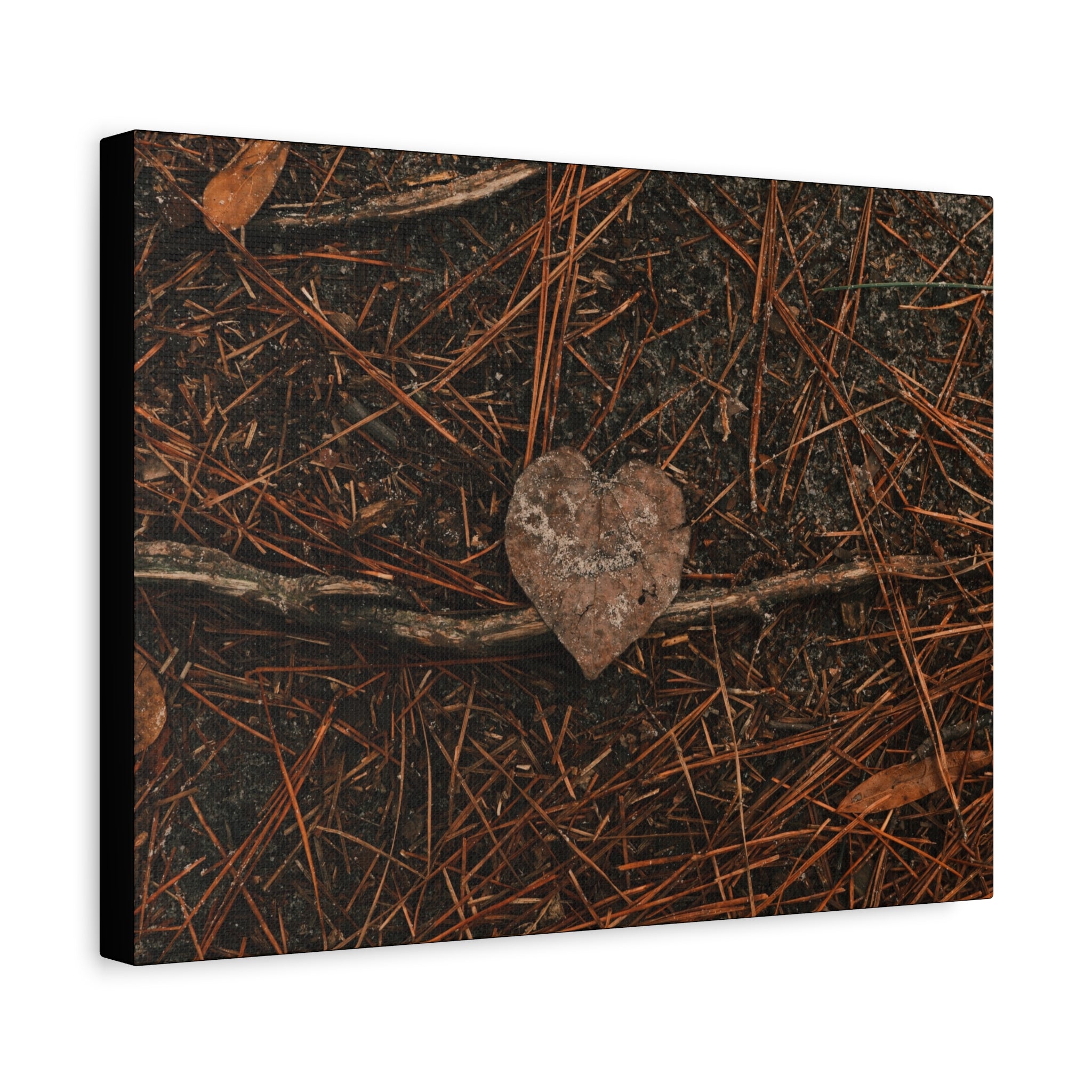 Love Your Forest Canvas Print – Rustic Nature Wall Art