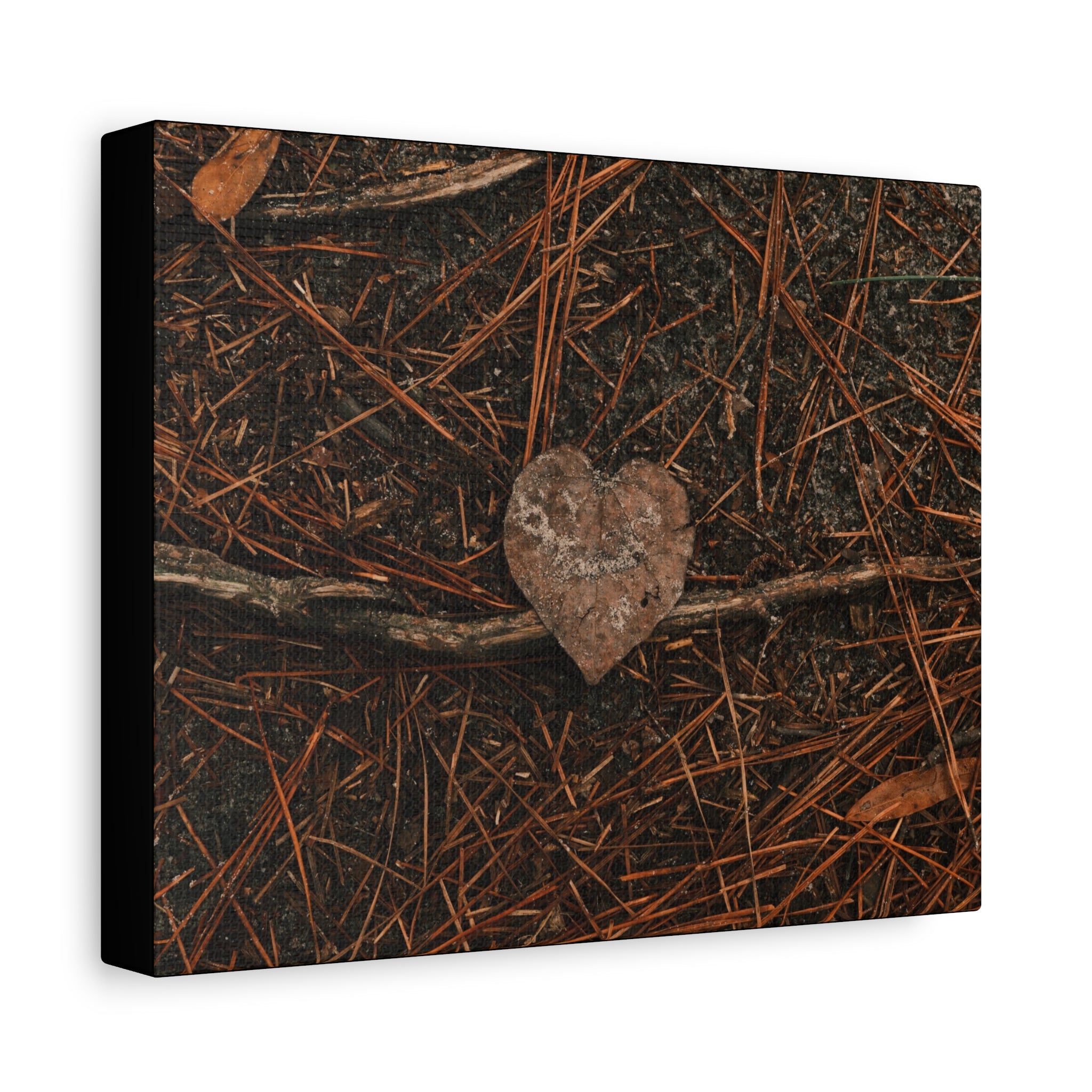 Love Your Forest Canvas Print – Rustic Nature Wall Art