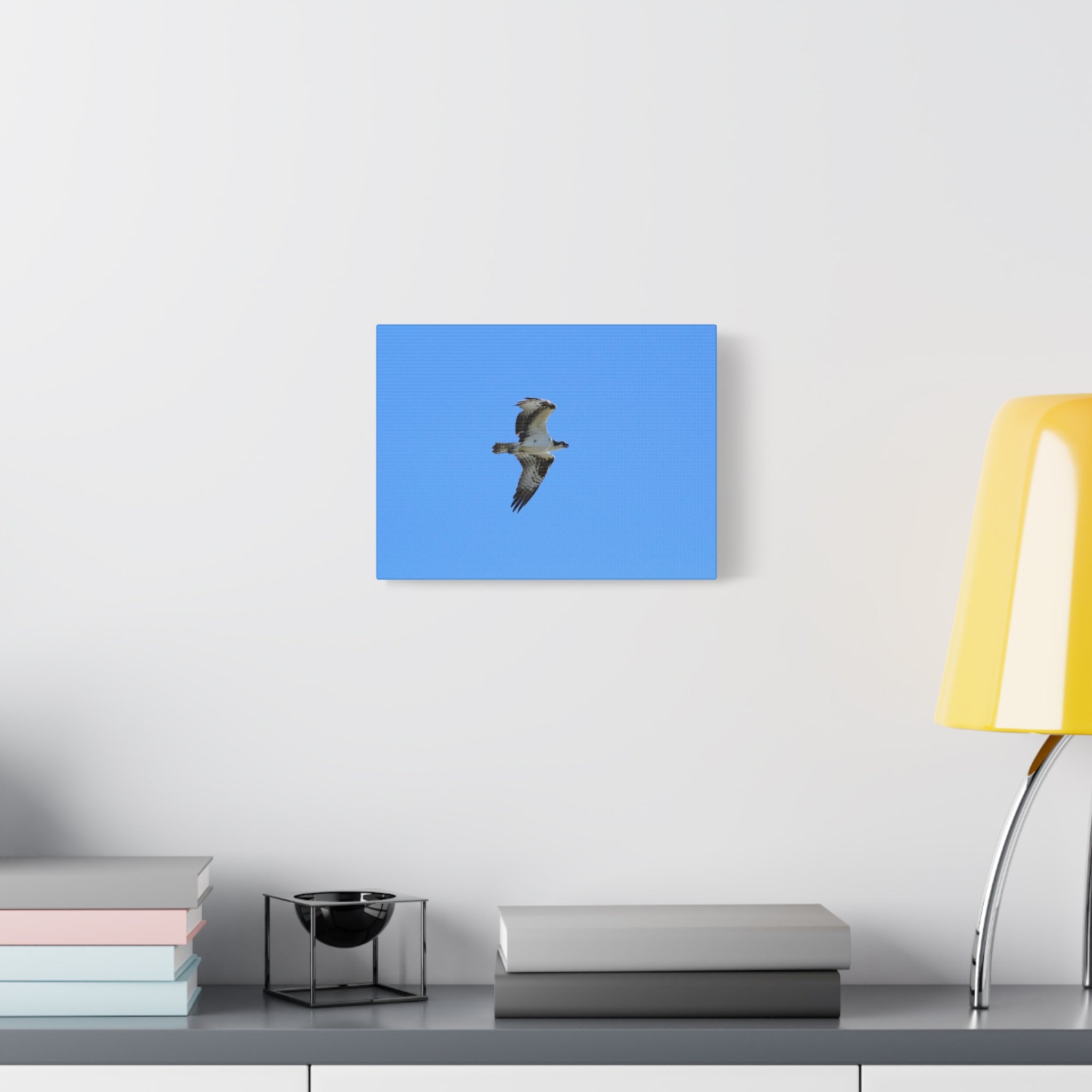 Osprey in Flight Matte Canvas Print — Stretched Wall Art