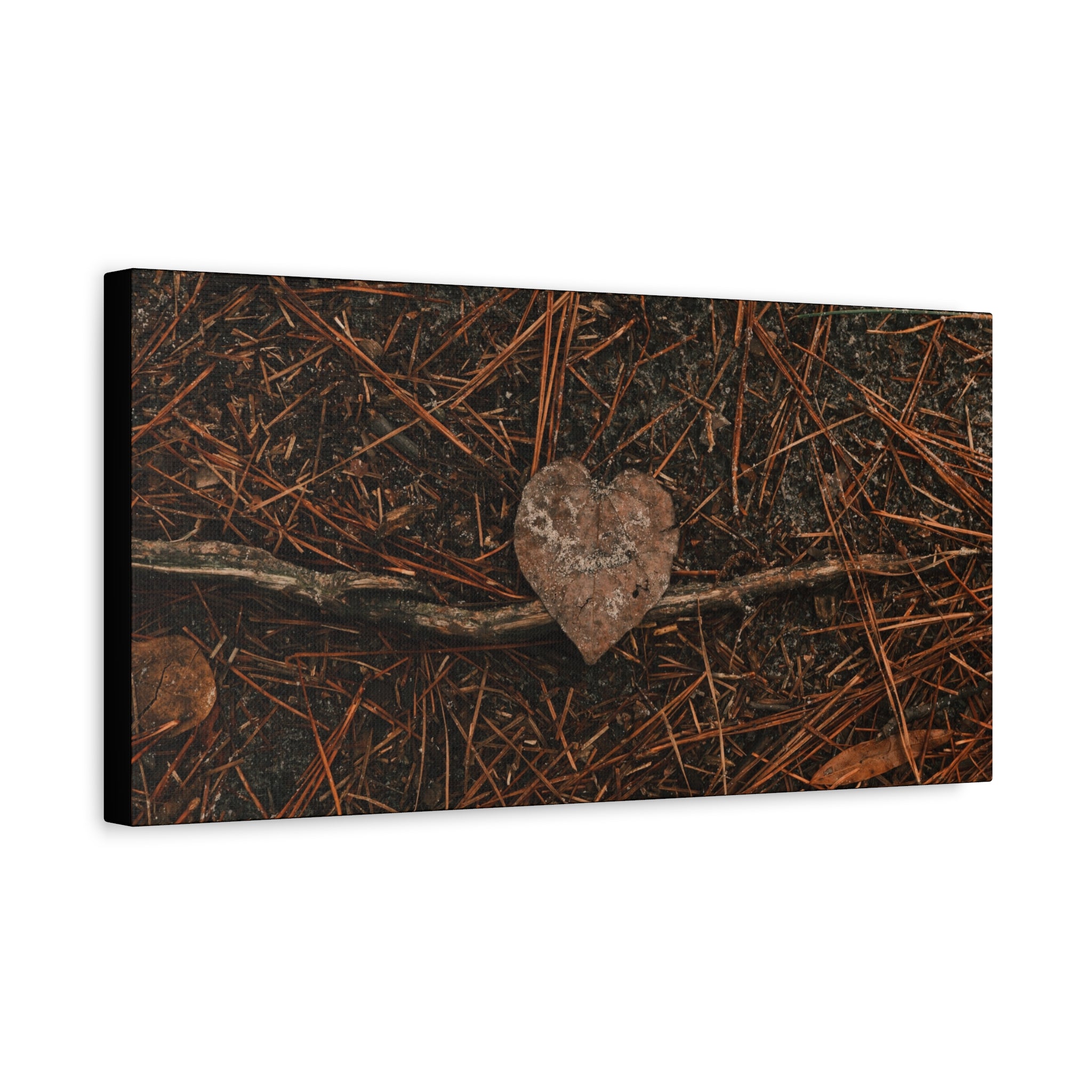 Love Your Forest Canvas Print – Rustic Nature Wall Art