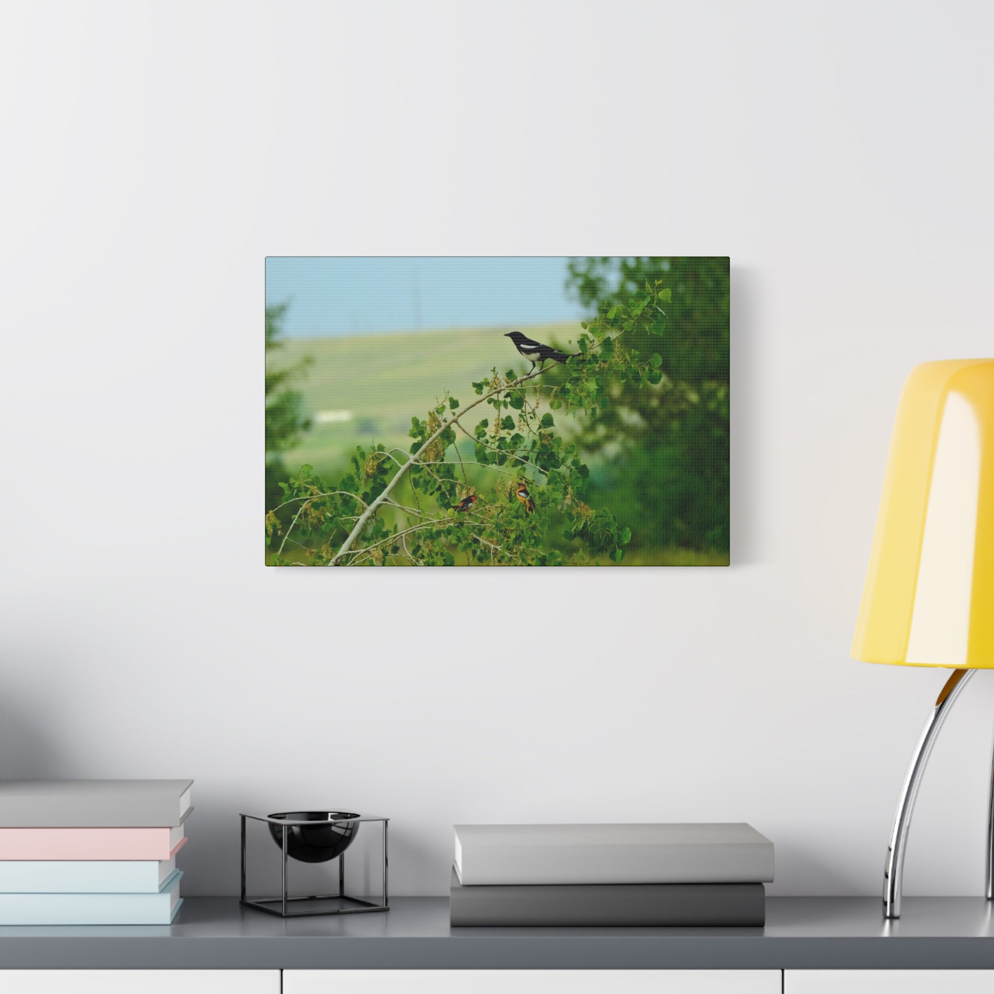 Magpie & Bullock's Oriole resting Matte Stretched Canvas Wall Art