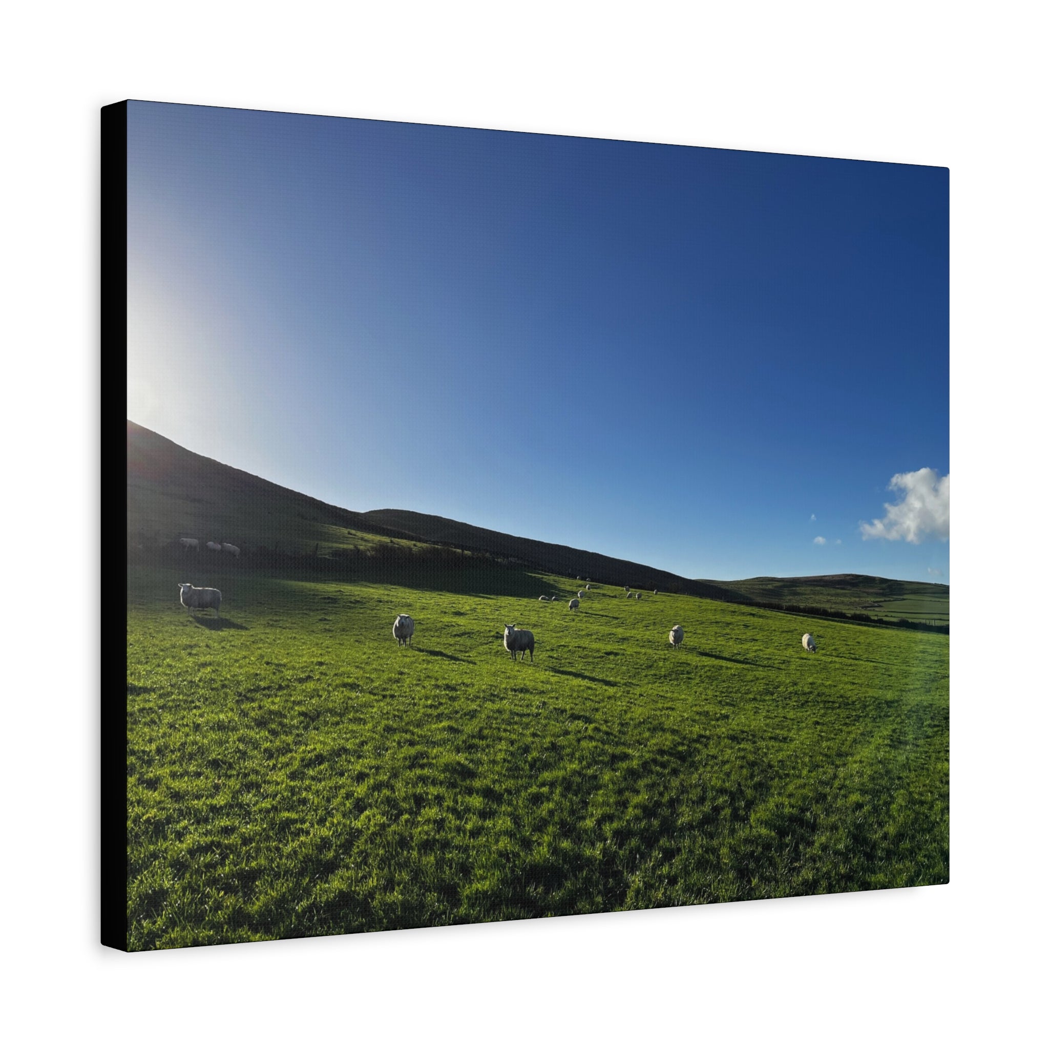 Irish sheep Pasture Canvas Print — Sheep Landscape Matte Stretched Wall Art