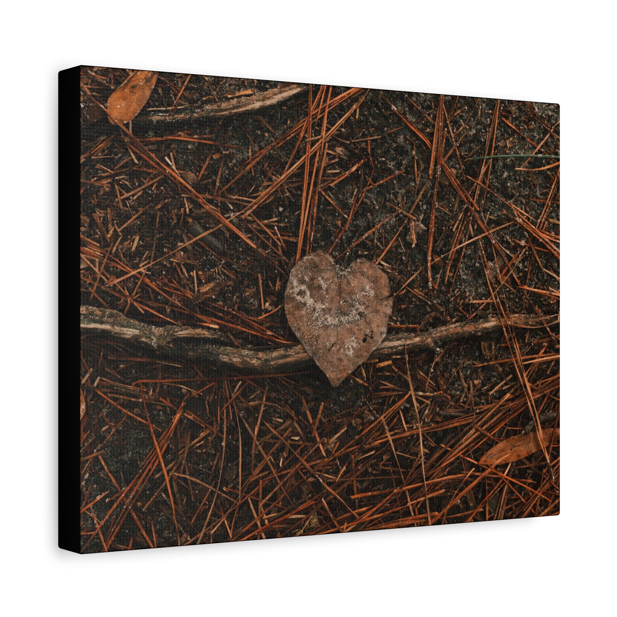 Love Your Forest Canvas Print – Rustic Nature Wall Art