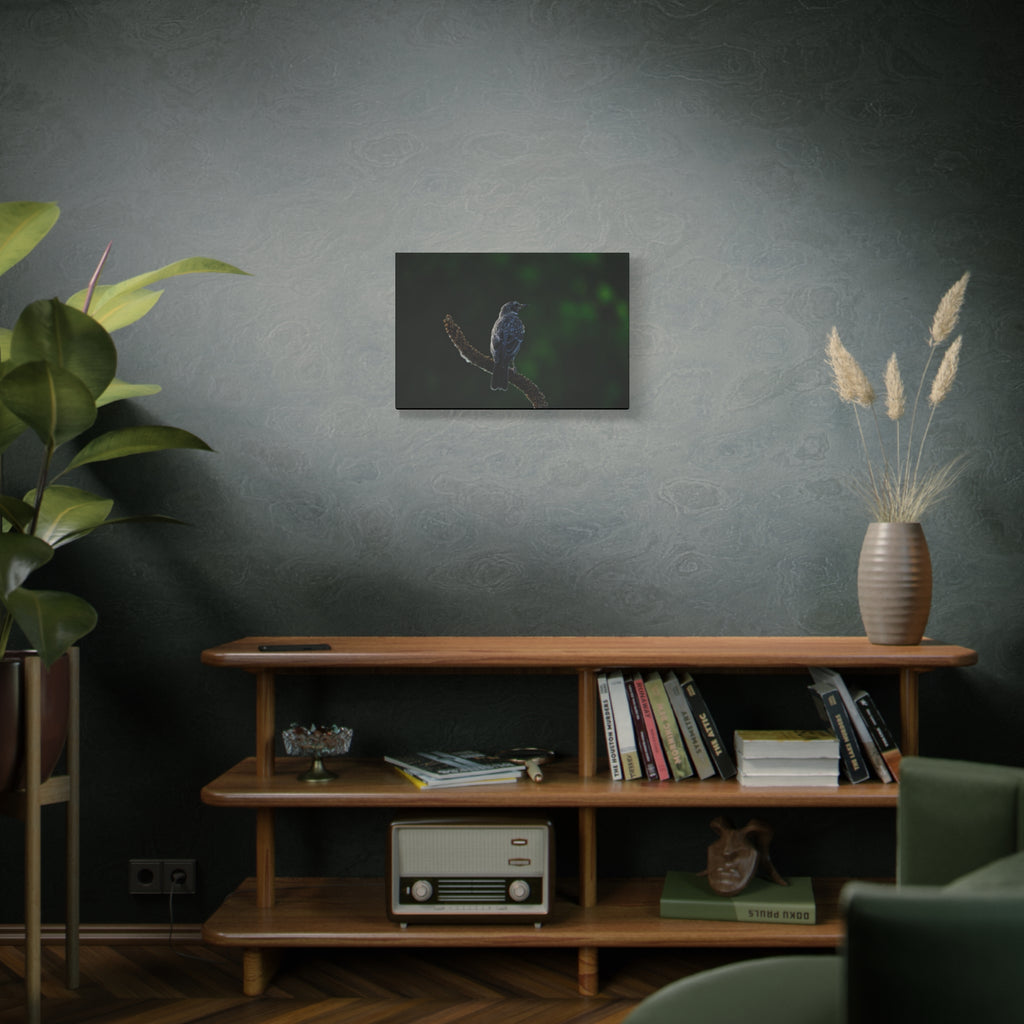 Robin on Branch Matte Canvas Wall Art — Moody Nature Photography Print