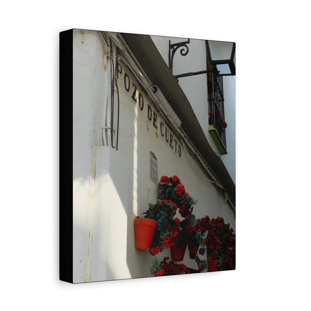 Spanish Street Flowers Canvas Print — 'Pozo de Cueto' Wall Art