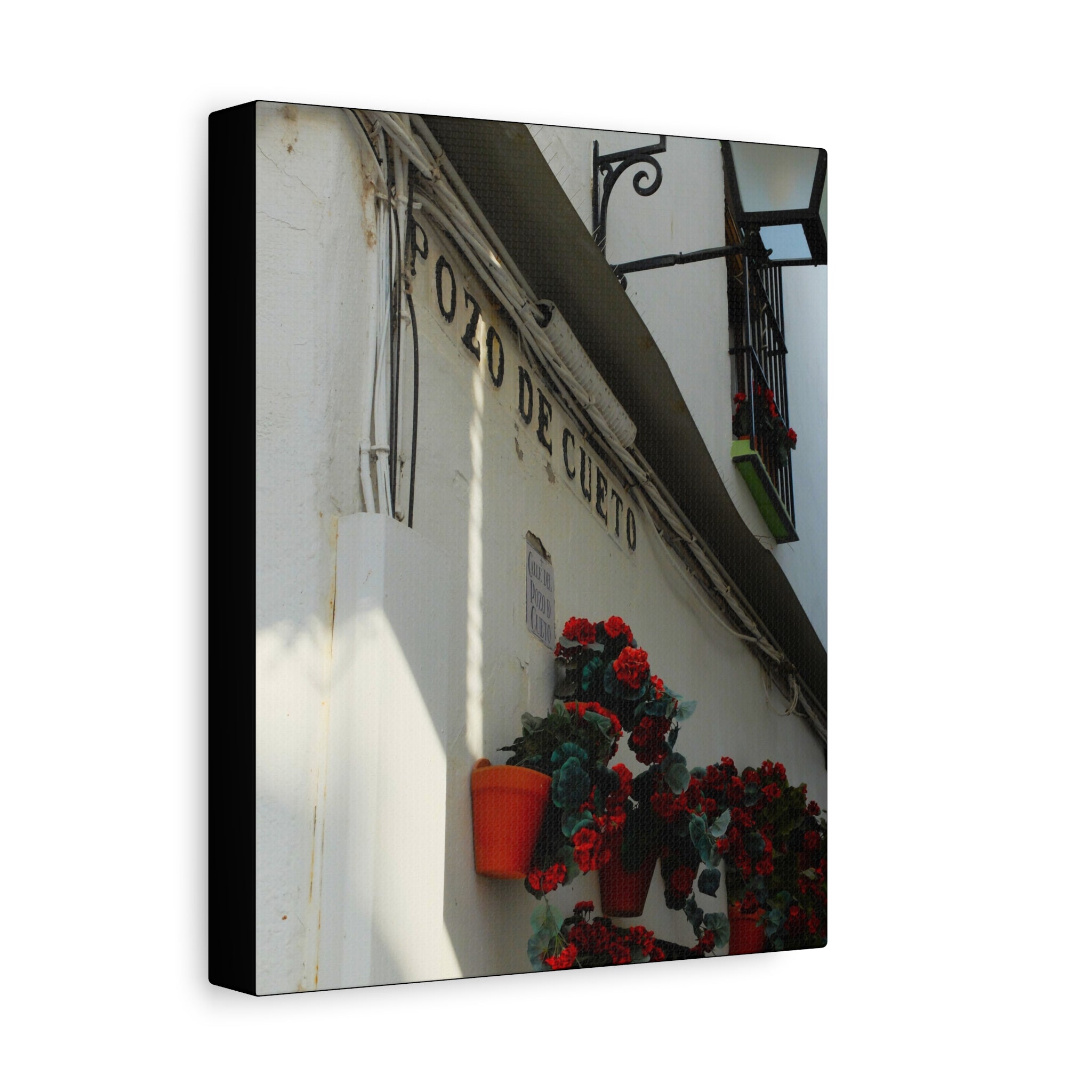 Spanish Street Flowers Canvas Print — 'Pozo de Cueto' Wall Art