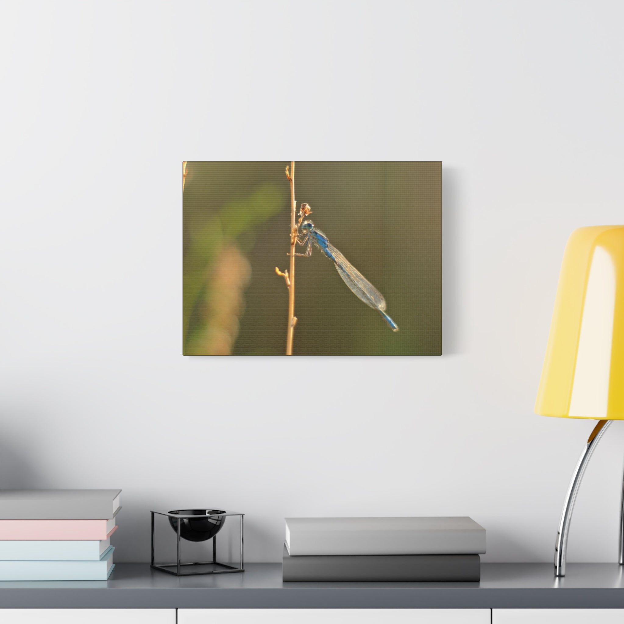 Blue Dragonfly Macro Canvas Print — Blue Damselfly Nature Wall Art, Matte Stretched 1.25"