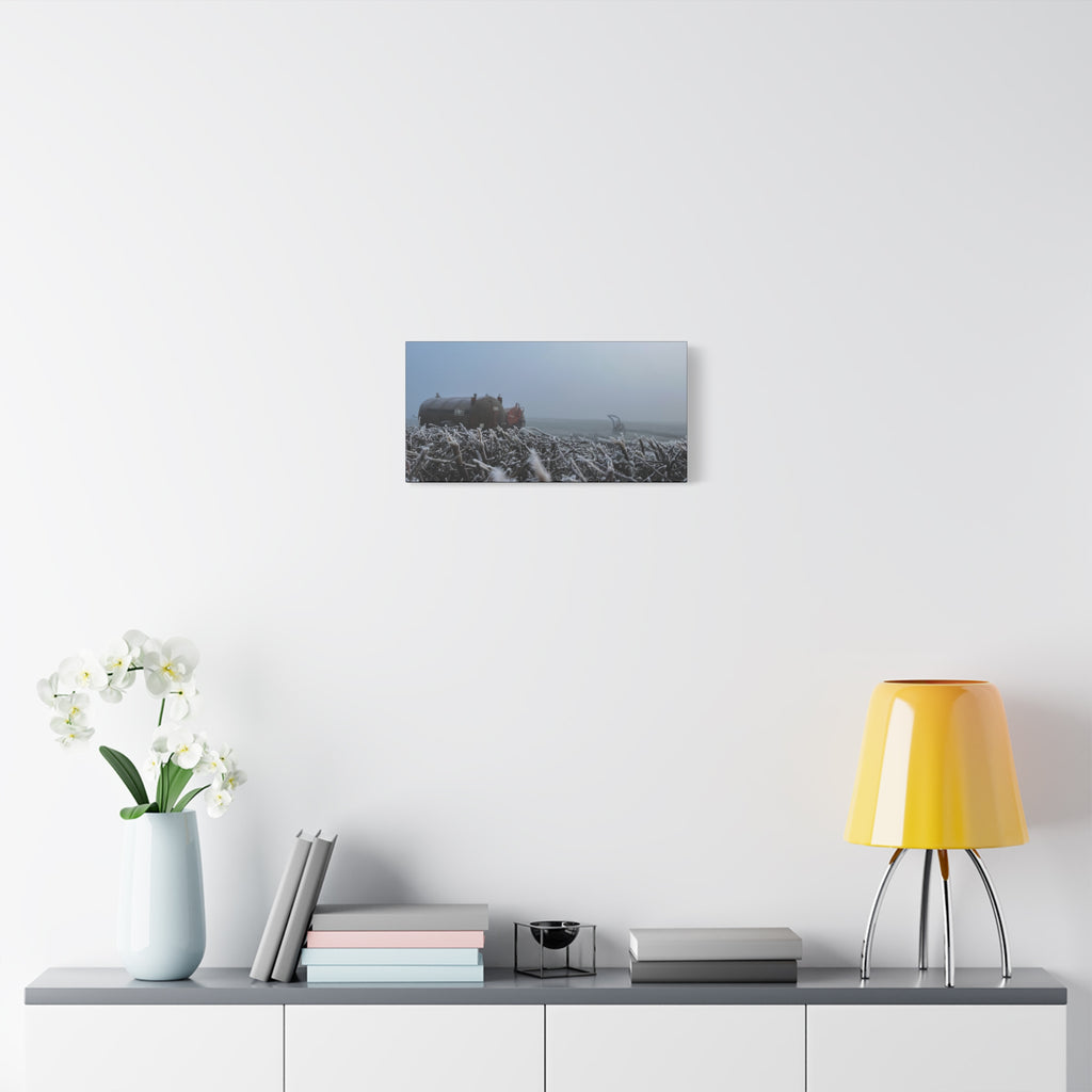 Irish Frost Farm Canvas Print — Foggy Shoreline with Frosted Driftwood