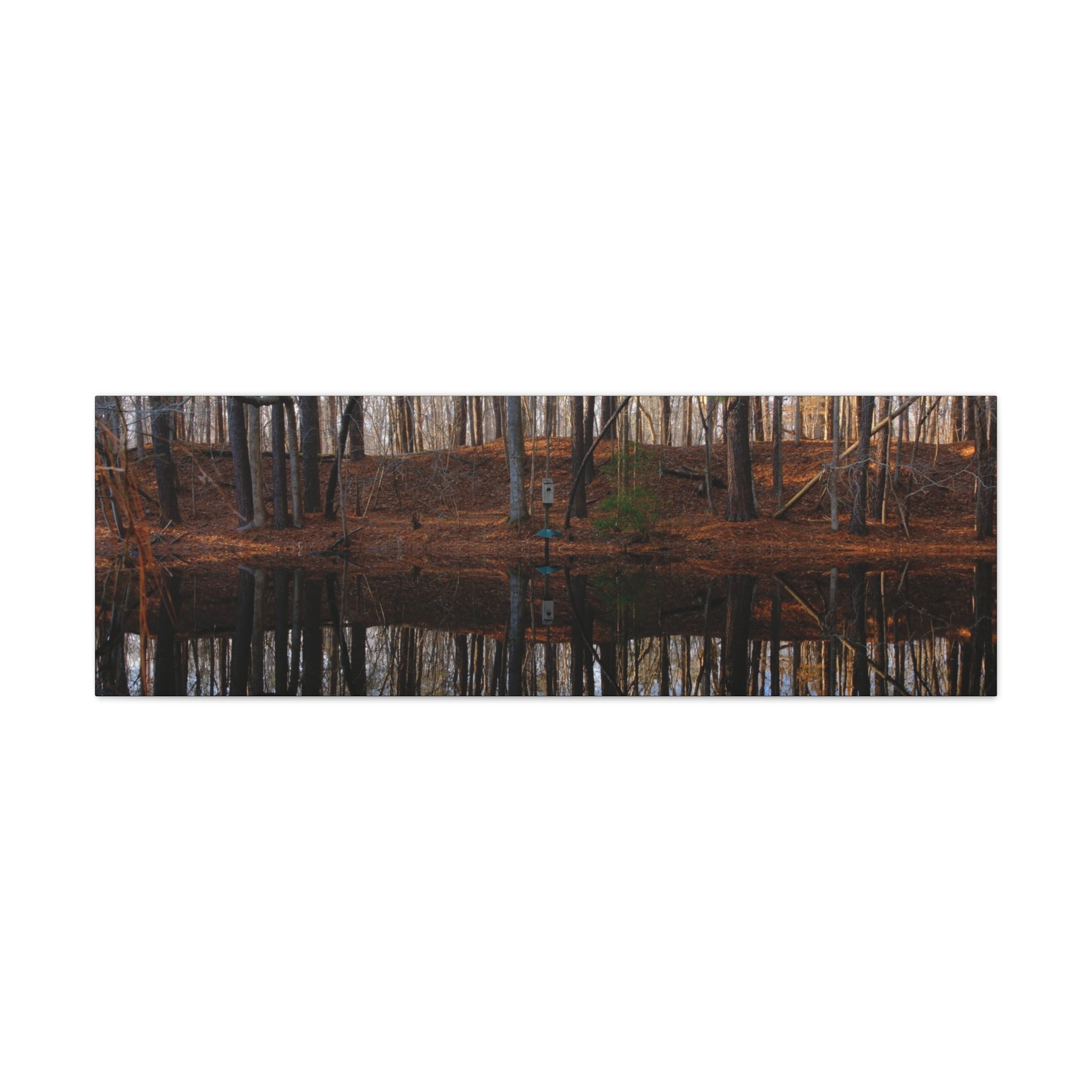 Woodland Reflection Matte Canvas Art – Stretched 1.25" Wall Decor
