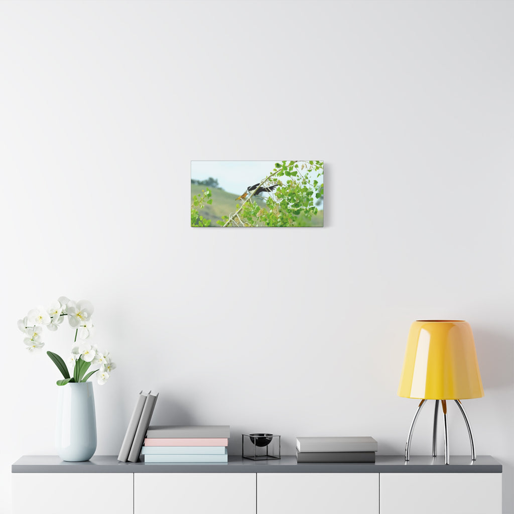 Oriole & Magpie Battle on an Aspen Branch - Matte Stretched Canvas Wall Art