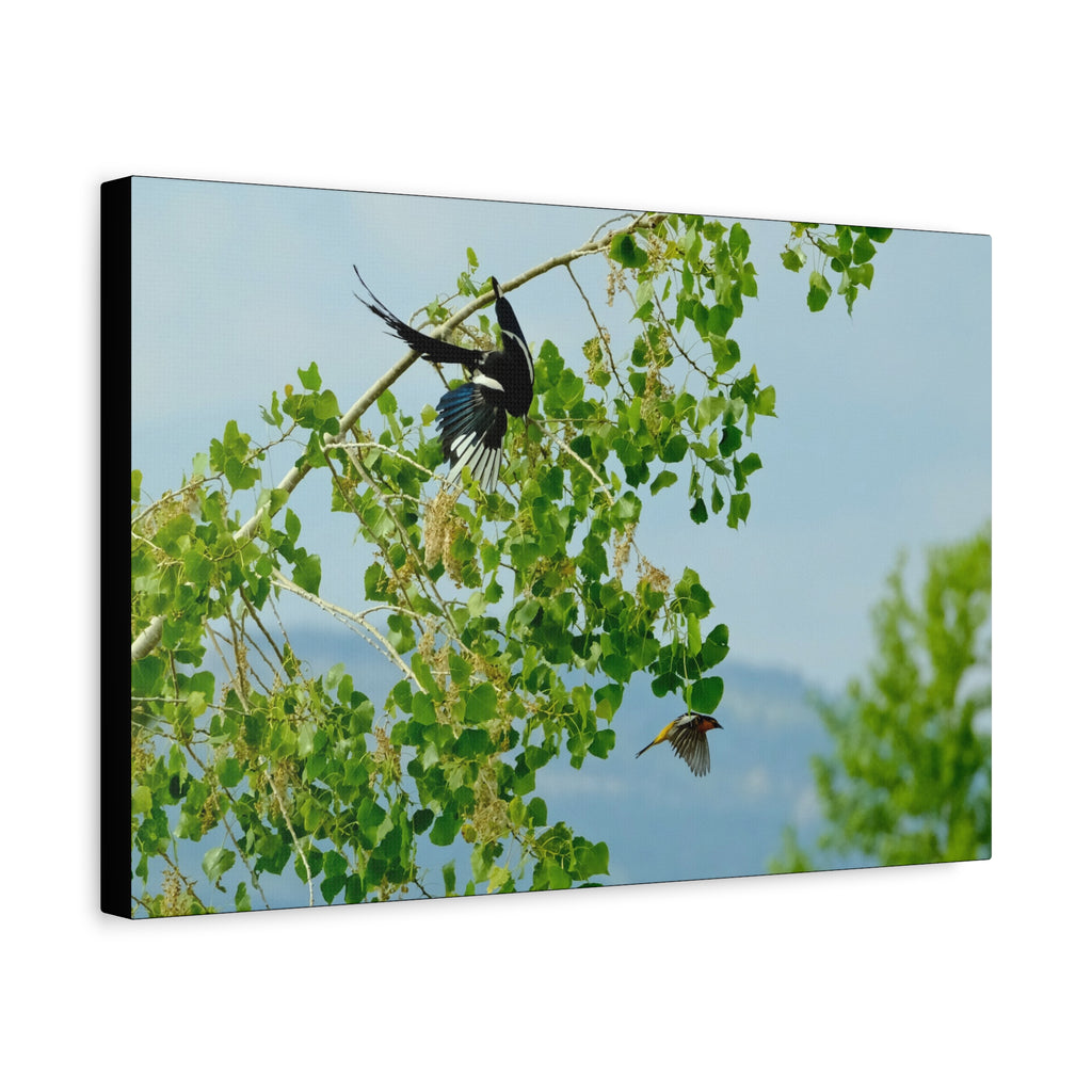 Birds in Flight Matte Canvas Wall Art — Spring Tree Branch Nature Print