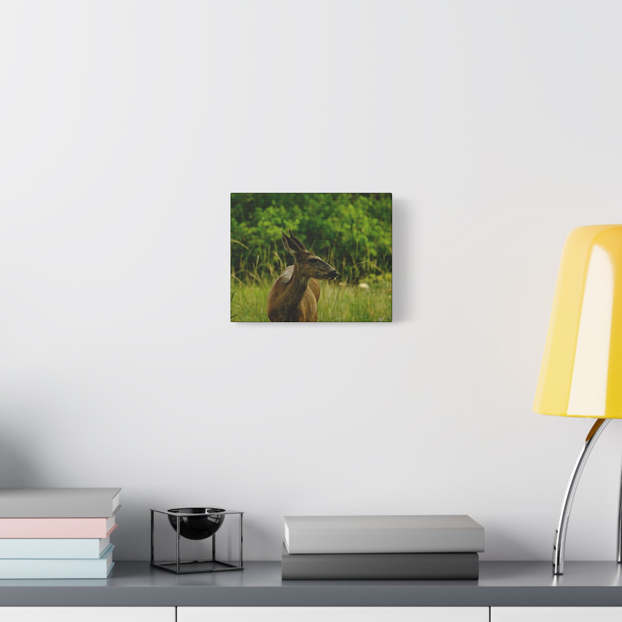 Doe in Meadow Matte Stretched Canvas (1.25") — Wildlife Wall Art
