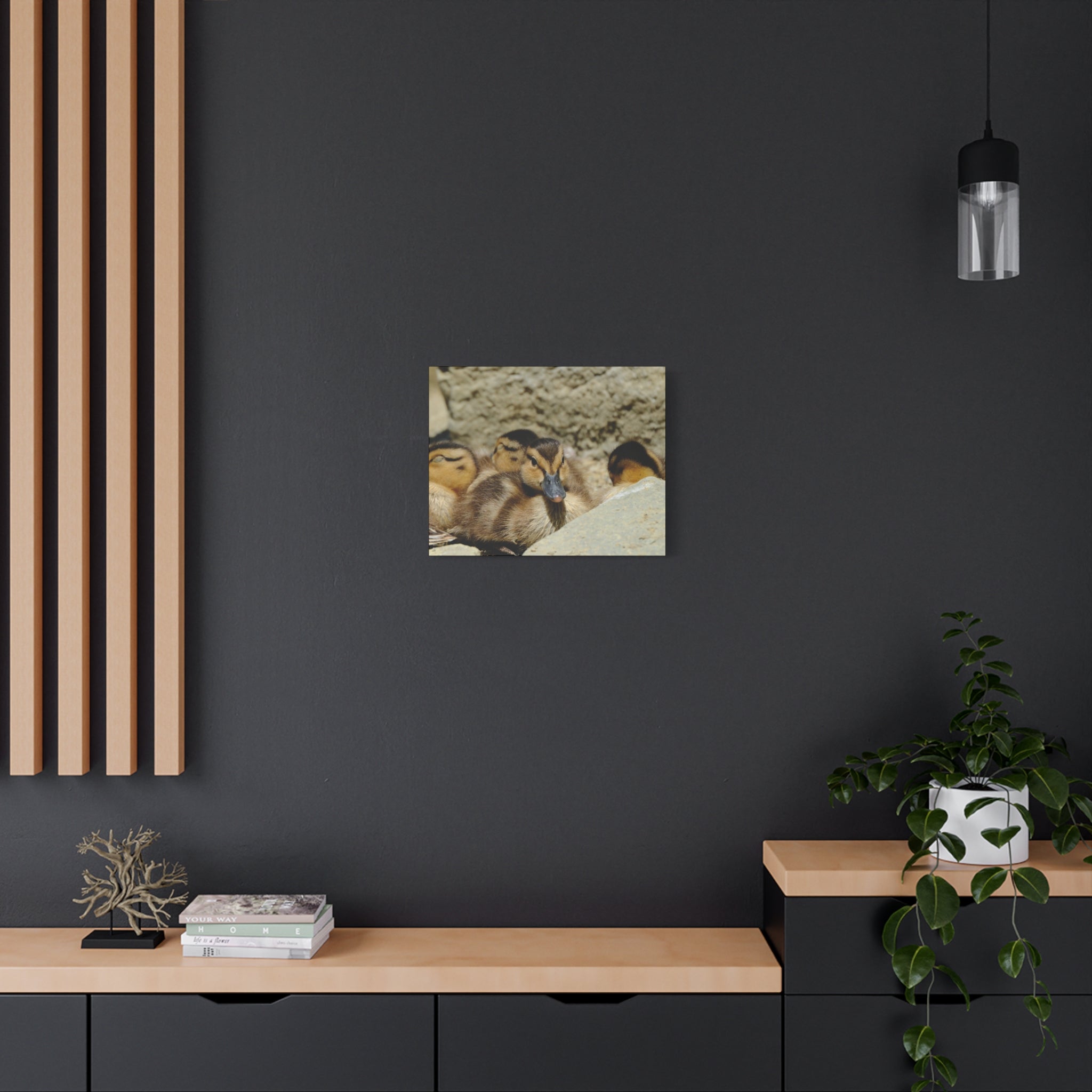 Duckling Canvas Print - Cute Baby Ducks Matte Stretched Wall Art