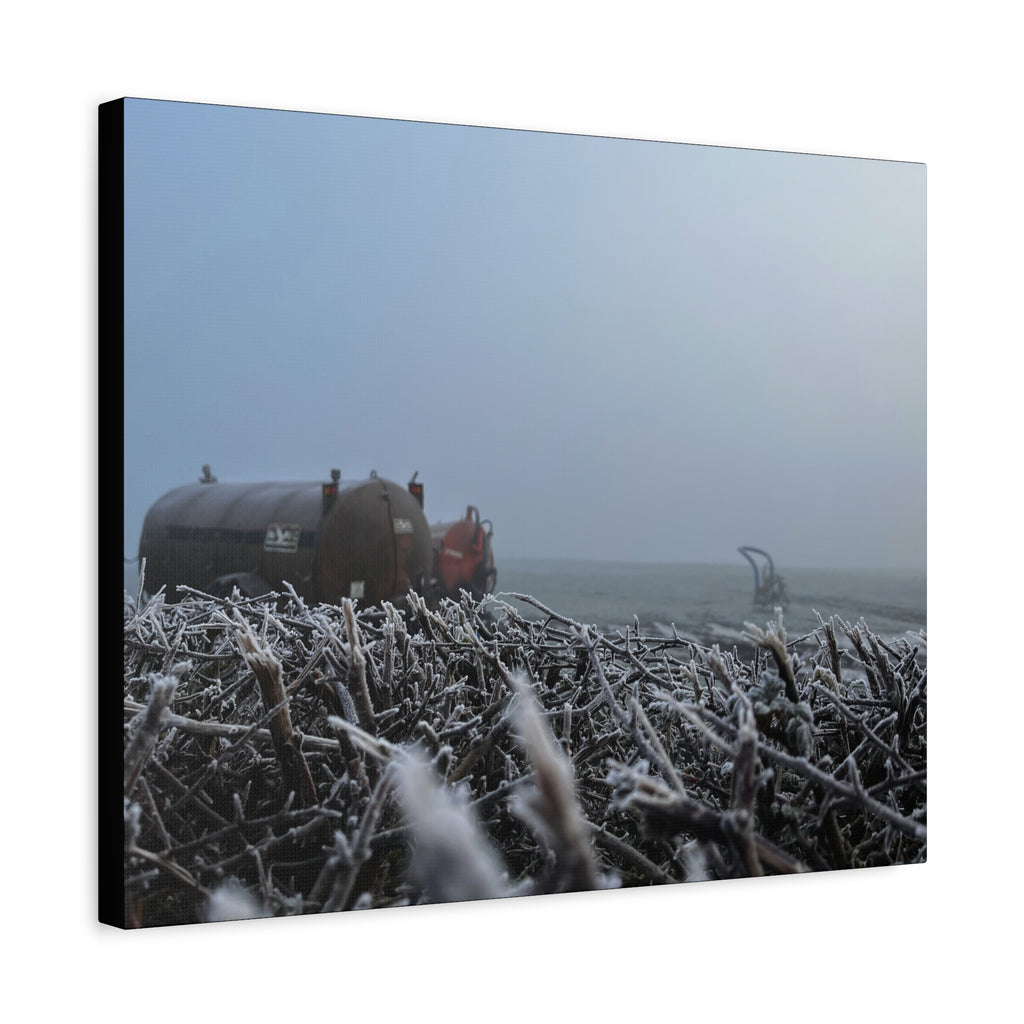 Irish Frost Farm Canvas Print — Foggy Shoreline with Frosted Driftwood