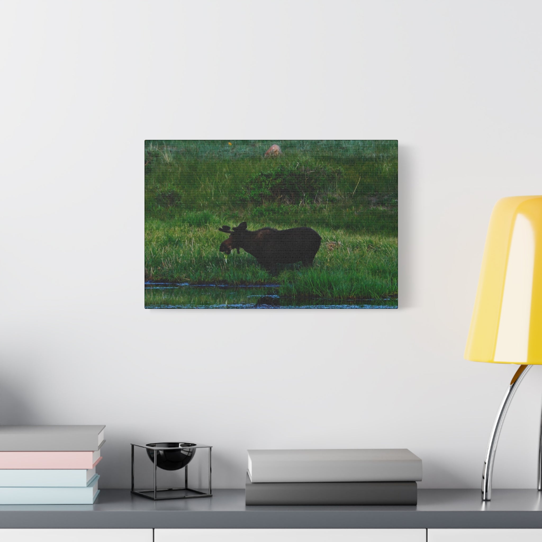 Munching Moose Matte Canvas Print — Stretched Wildlife Wall Art