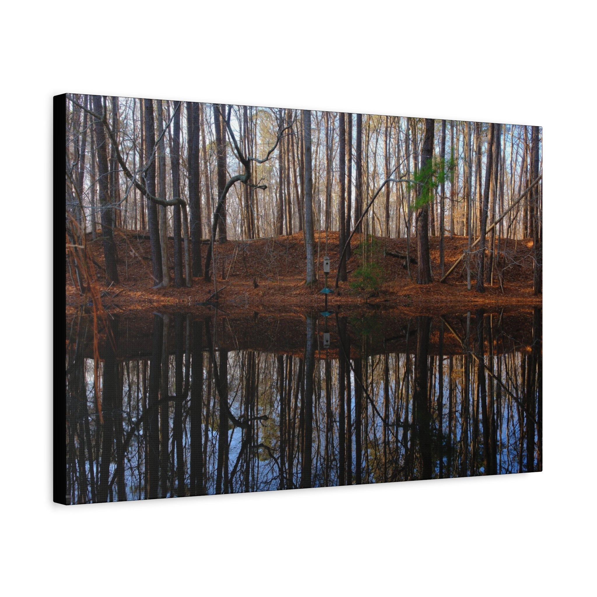Woodland Reflection Matte Canvas Art – Stretched 1.25" Wall Decor