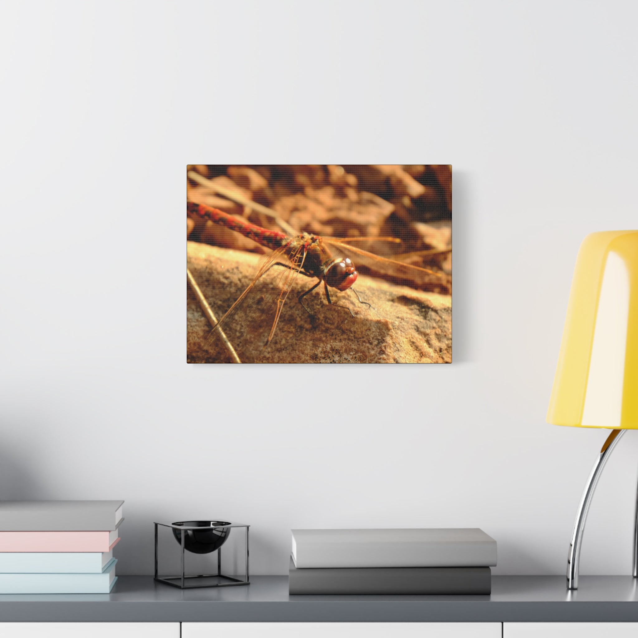 Dragonfly Macro Canvas Print — Close-Up Nature Wall Art, Rustic Insect Photography