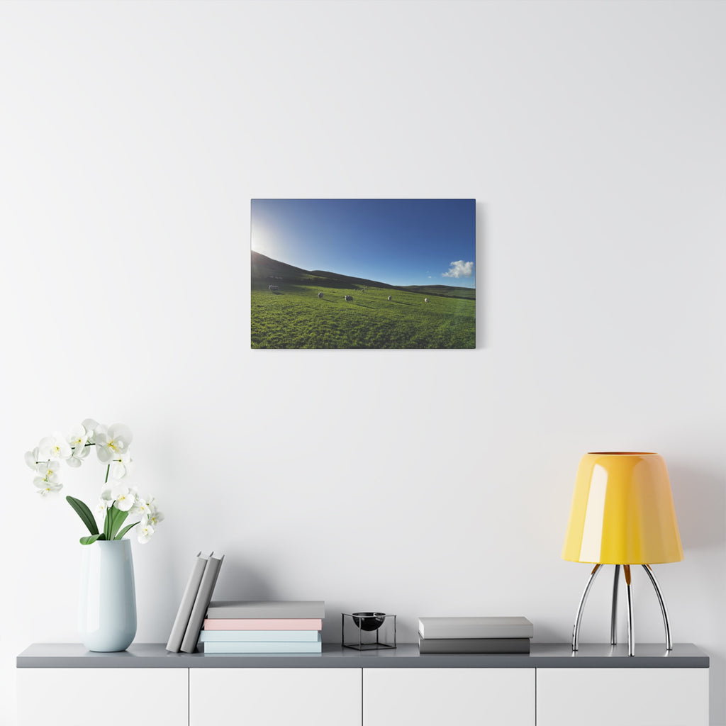 Irish sheep Pasture Canvas Print — Sheep Landscape Matte Stretched Wall Art