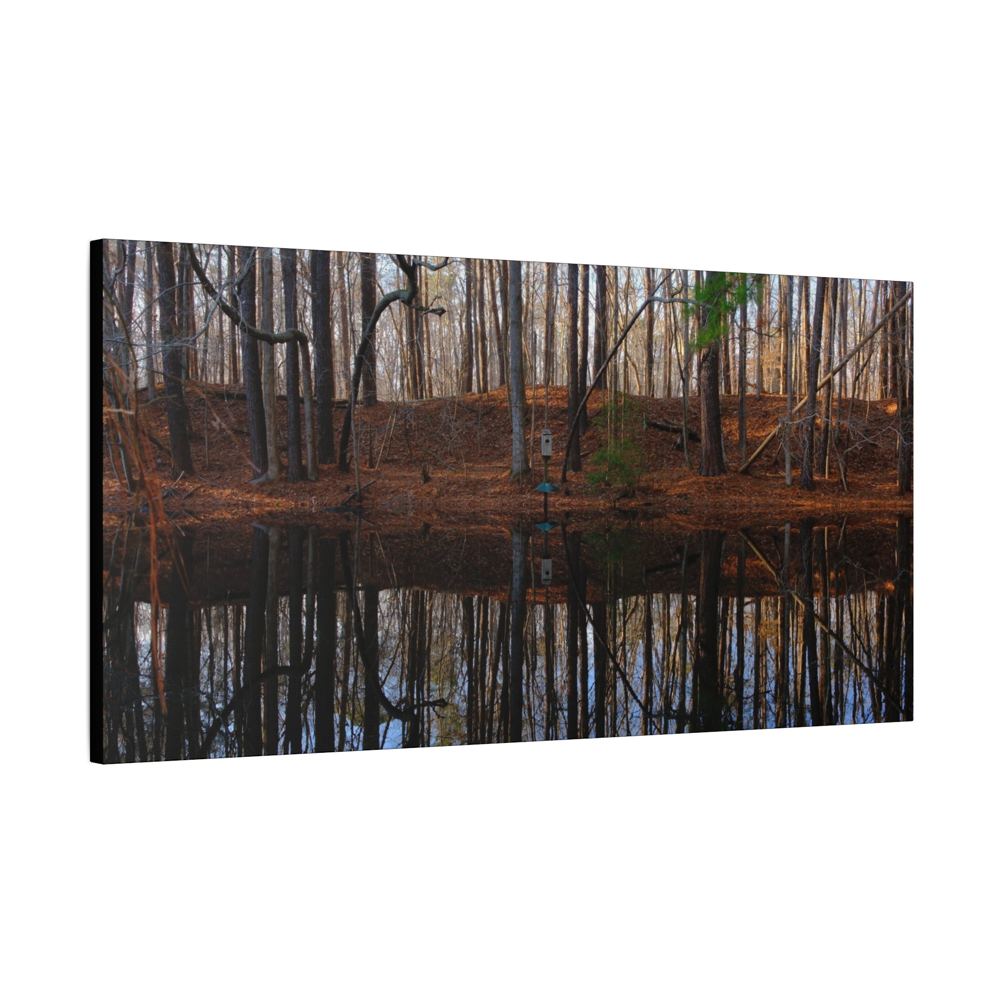 Woodland Reflection Matte Canvas Art – Stretched 1.25" Wall Decor