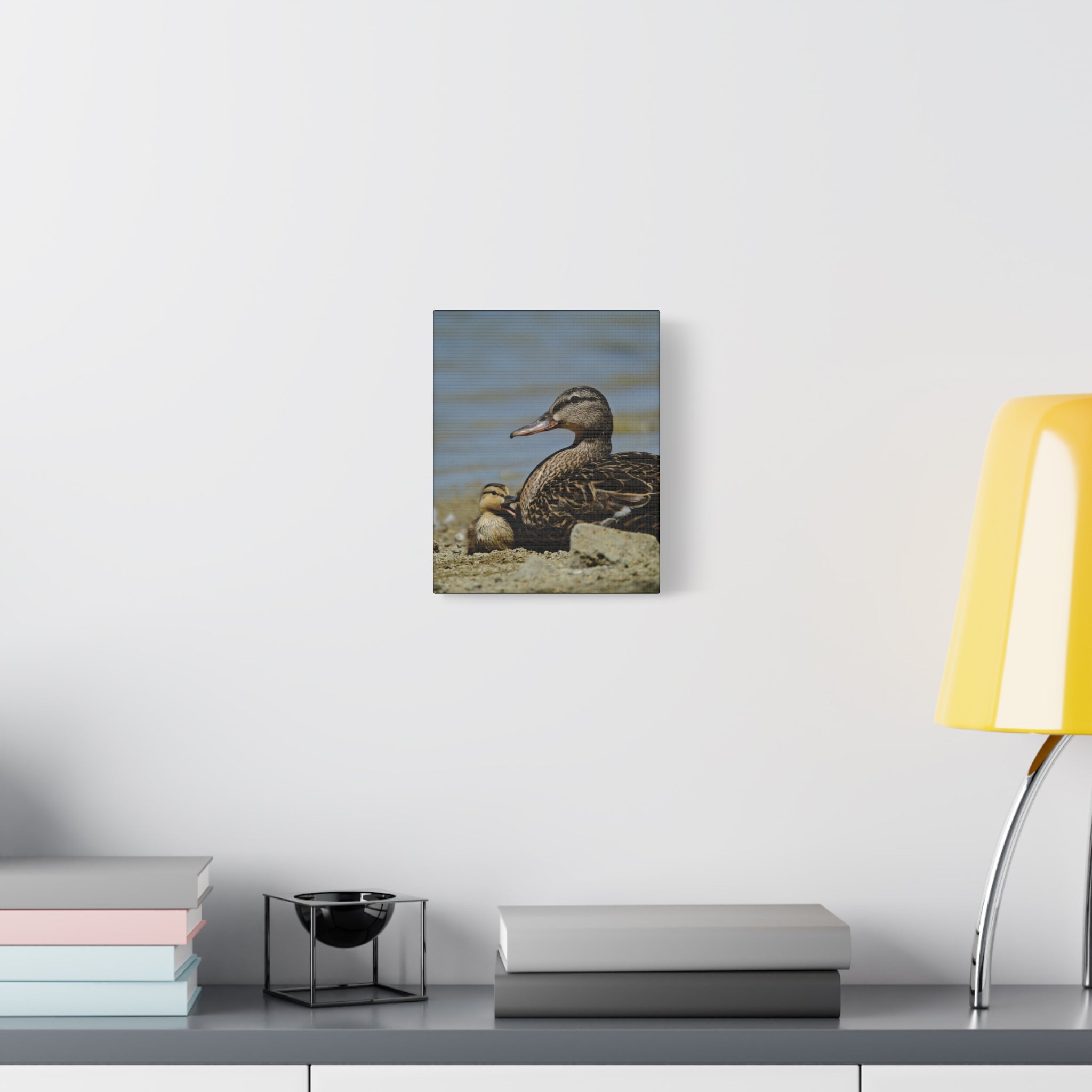 Duck and Duckling Canvas Print — Mother & Baby Wildlife Wall Art