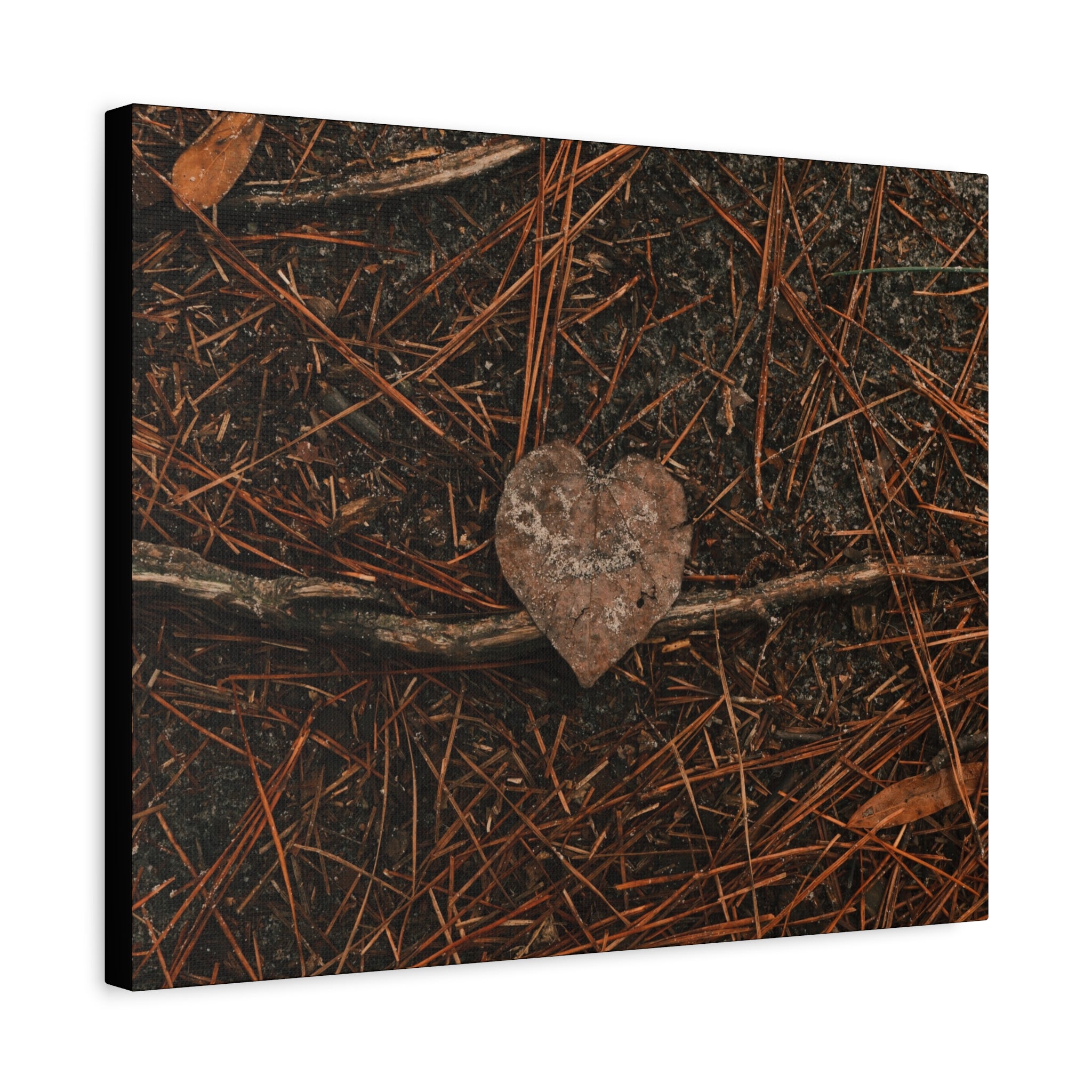 Love Your Forest Canvas Print – Rustic Nature Wall Art