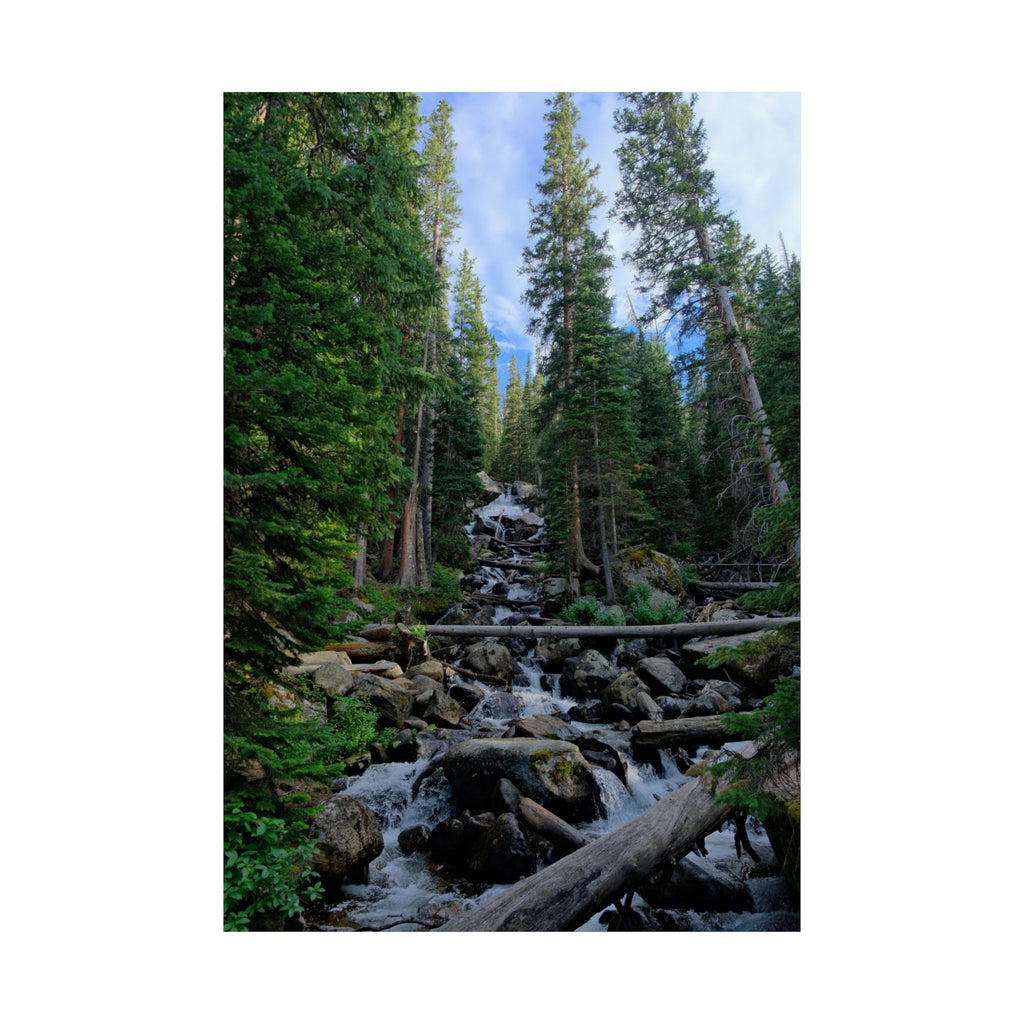 Mountain Stream Forest Matte Poster — Vertical Nature Wall Art