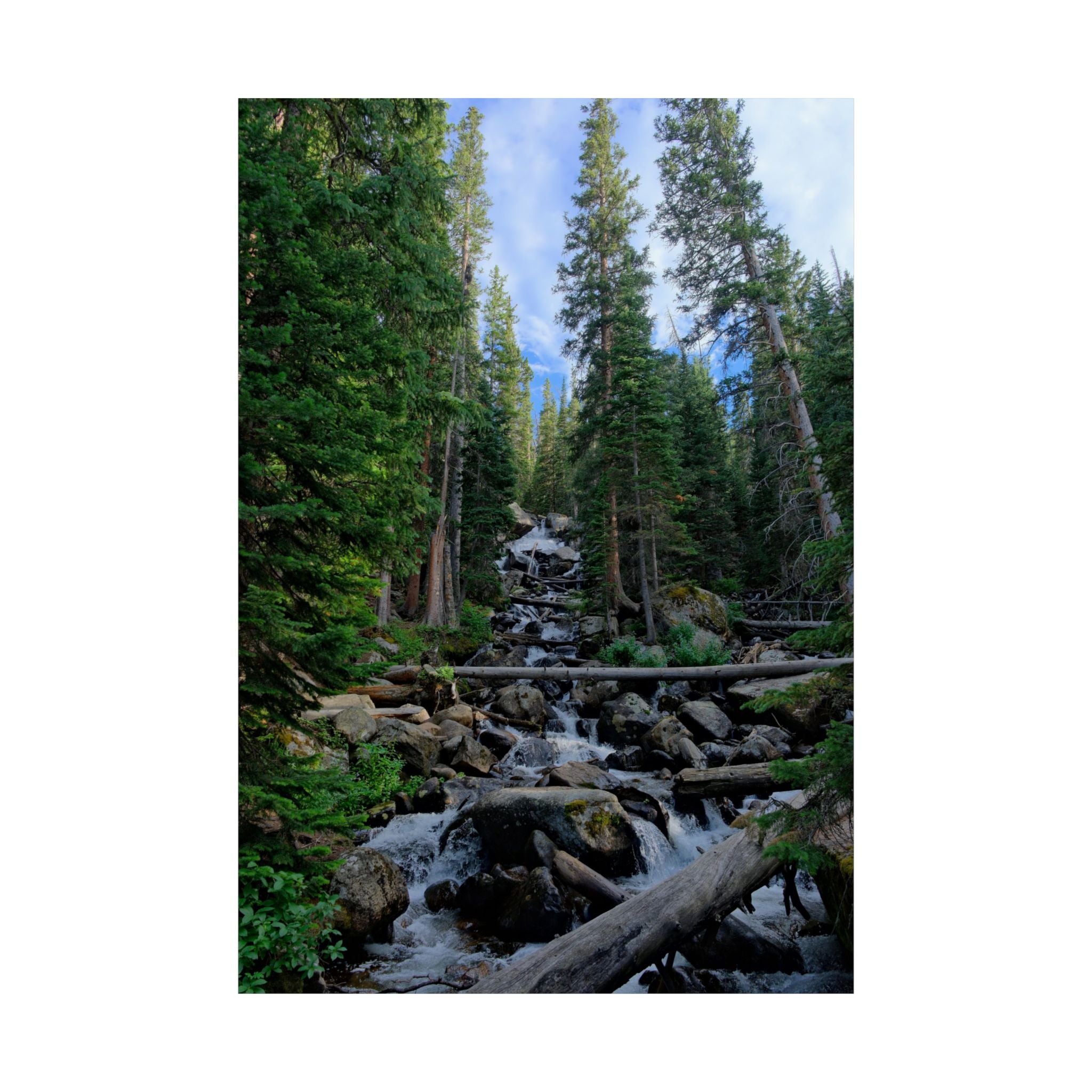 Mountain Stream Forest Matte Poster — Vertical Nature Wall Art