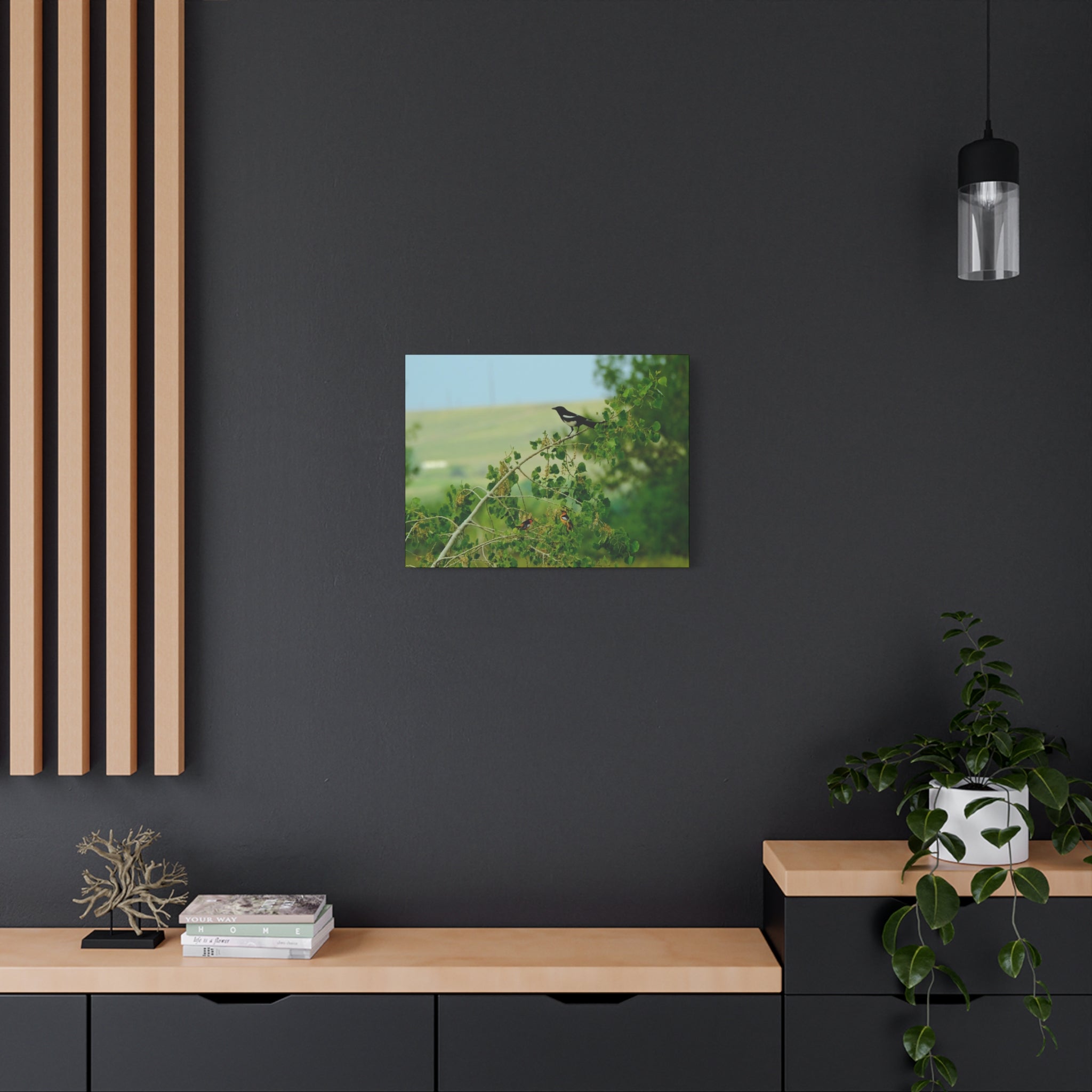 Magpie & Bullock's Oriole resting Matte Stretched Canvas Wall Art