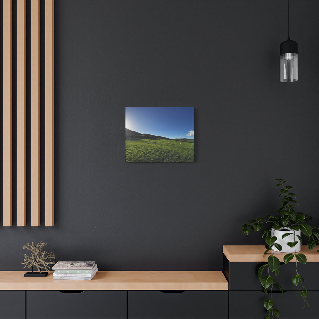 Irish sheep Pasture Canvas Print — Sheep Landscape Matte Stretched Wall Art
