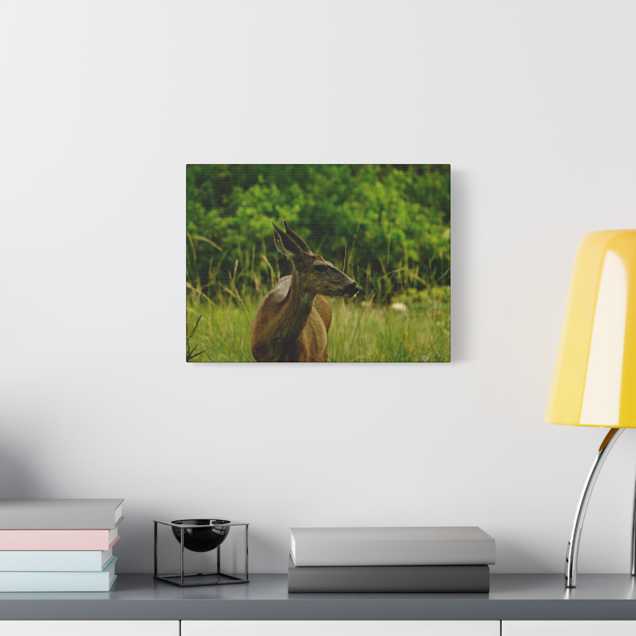 Doe in Meadow Matte Stretched Canvas (1.25") — Wildlife Wall Art