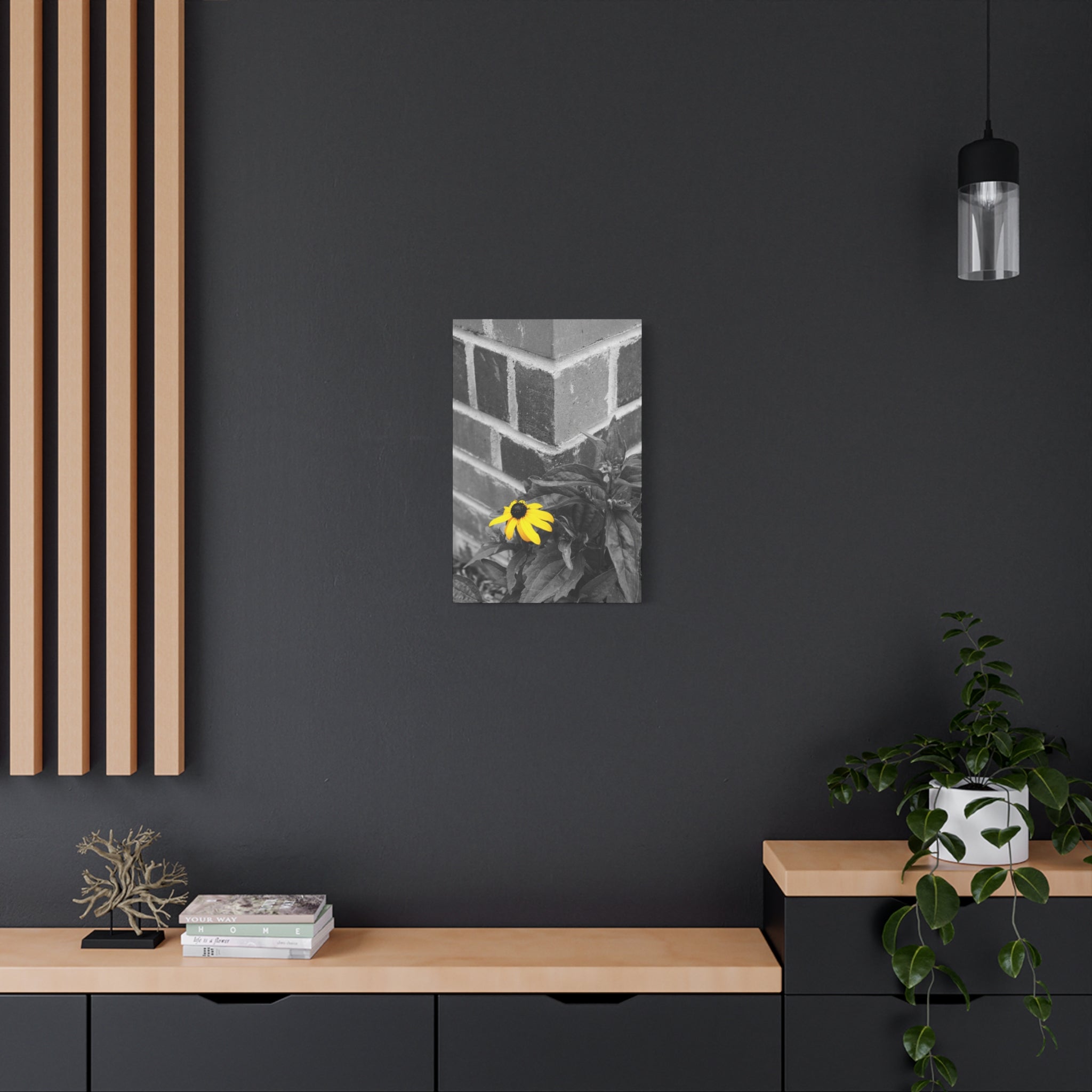 Yellow Daisy on Brick Matte Canvas Print — Stretched Wall Art
