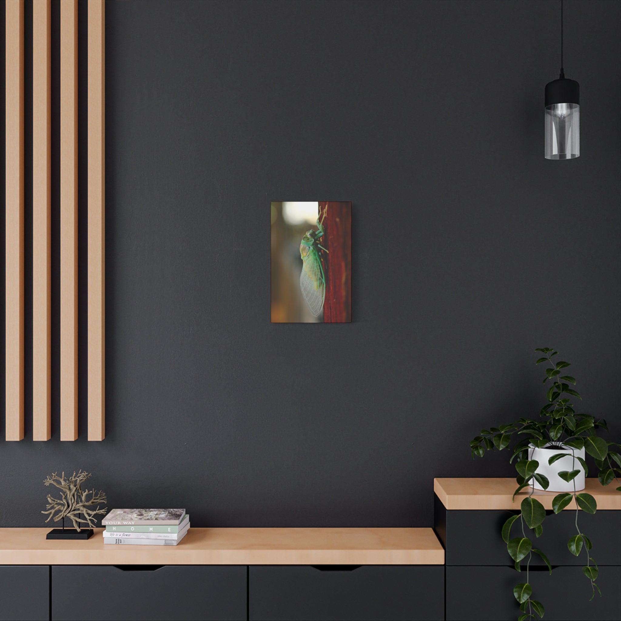 Cicada Close-Up Matte Canvas Print — Stretched 1.25" Nature Wall Art