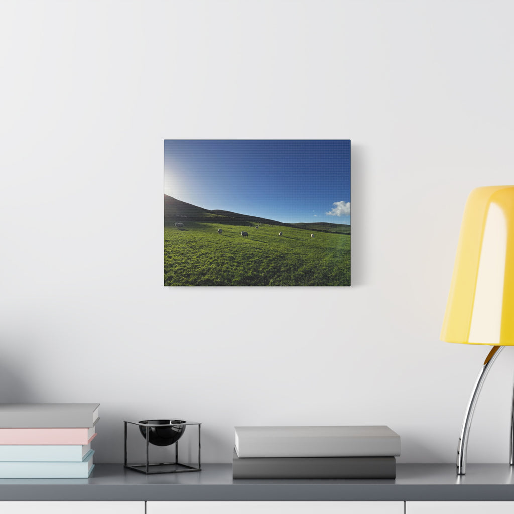 Irish sheep Pasture Canvas Print — Sheep Landscape Matte Stretched Wall Art