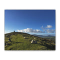 Sheep Lookout Canvas Print – Rolling Green Hills with Blue Sky