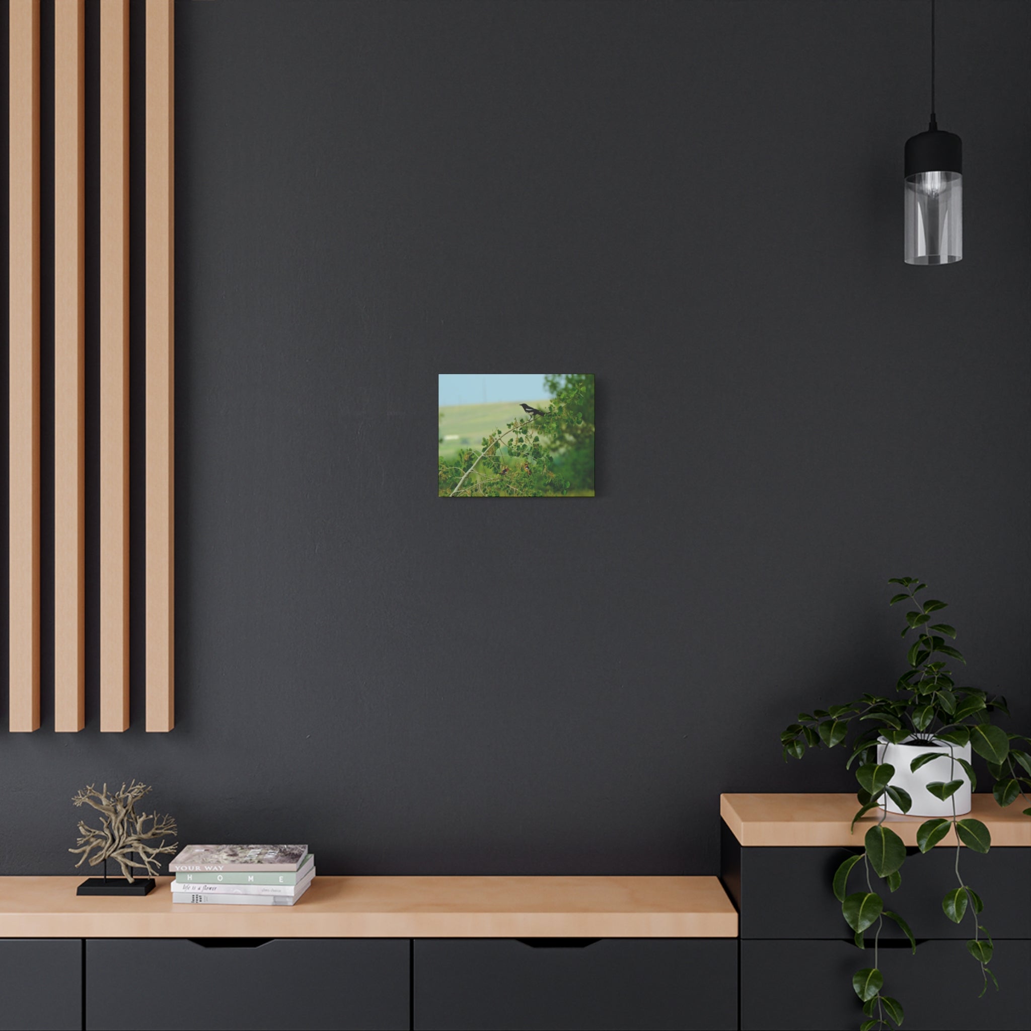 Magpie & Bullock's Oriole resting Matte Stretched Canvas Wall Art