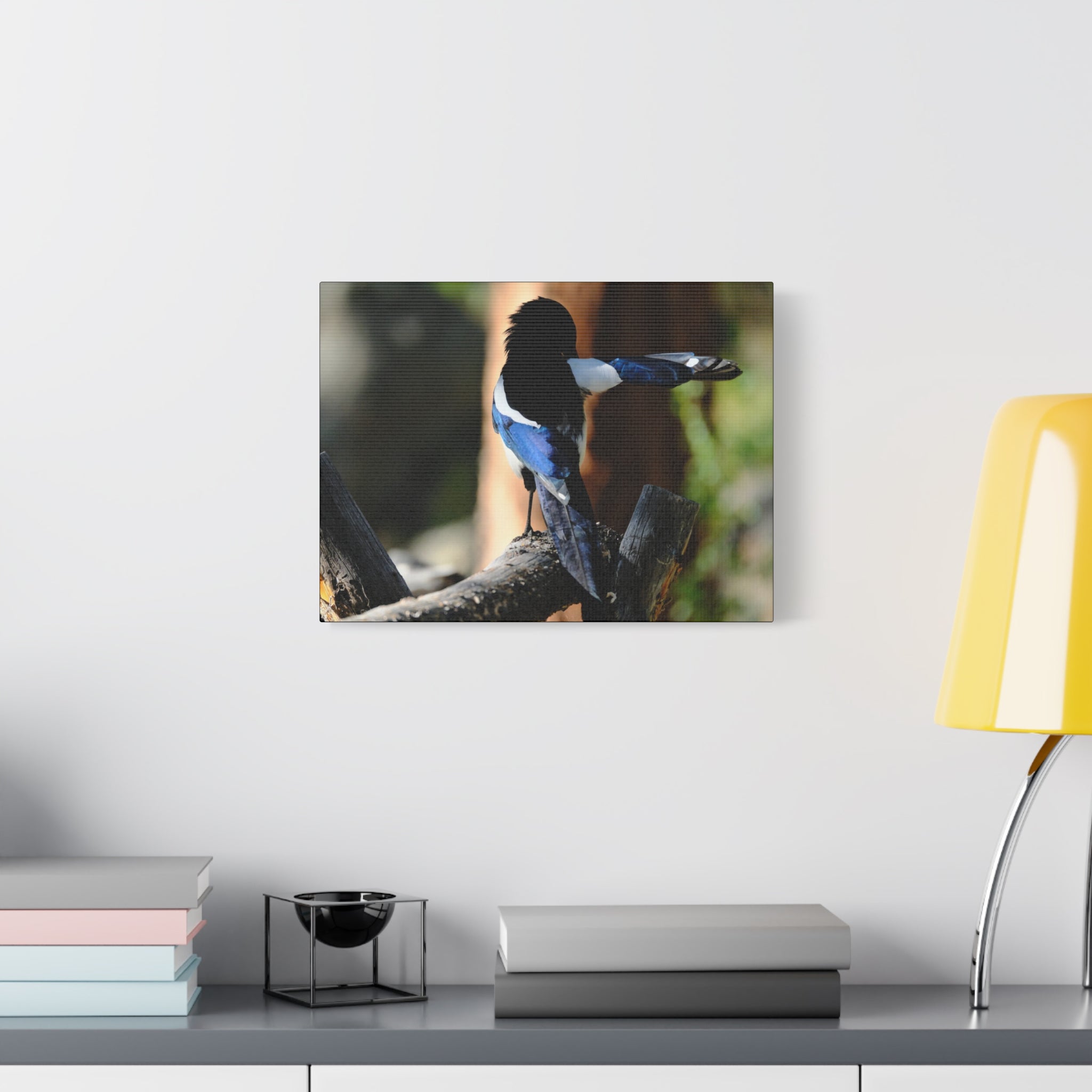 Black-billed Magpie Wildlife Canvas Print — Matte Stretched Wall Art