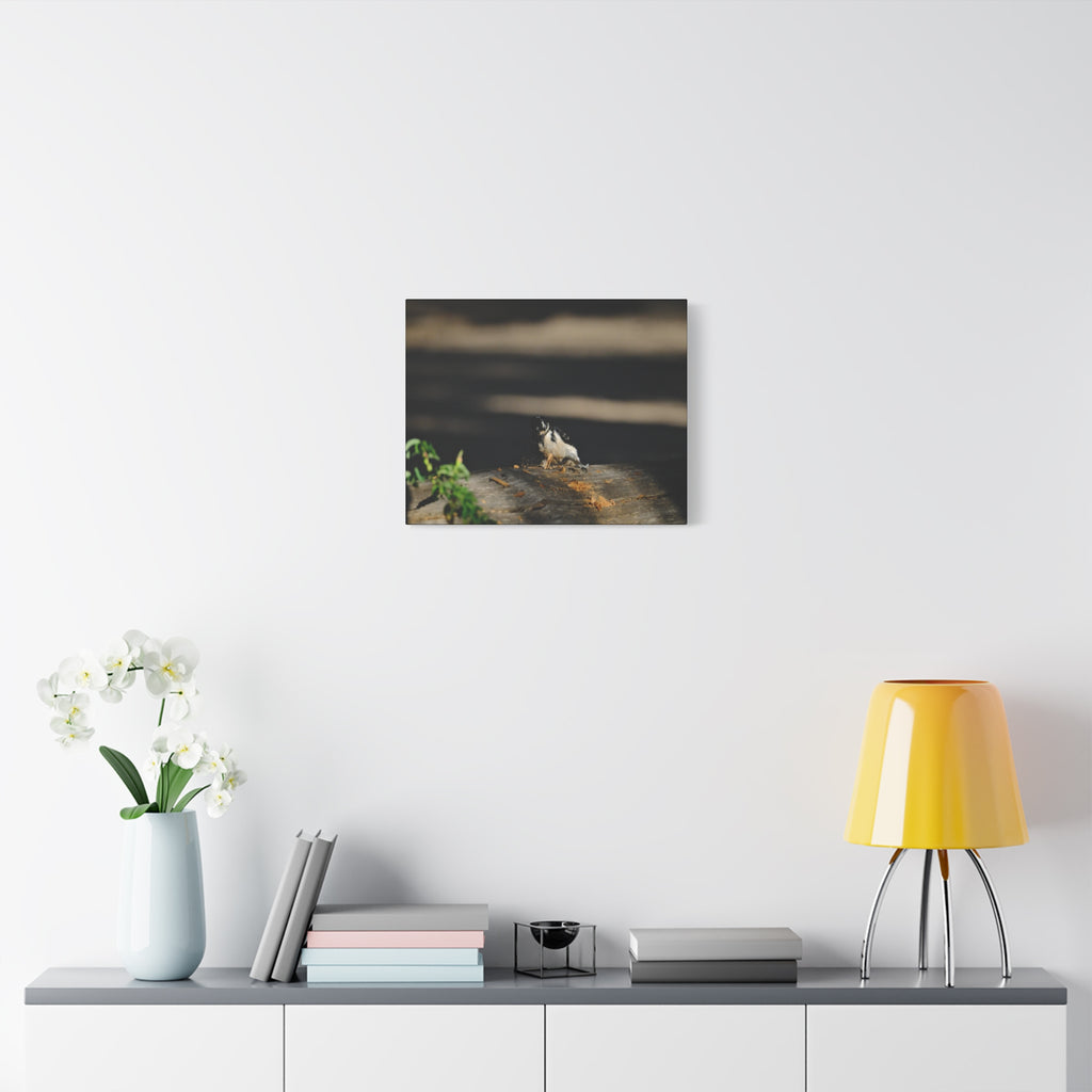 American Three-toed Woodpecker Hard At Work Canvas Wall Art