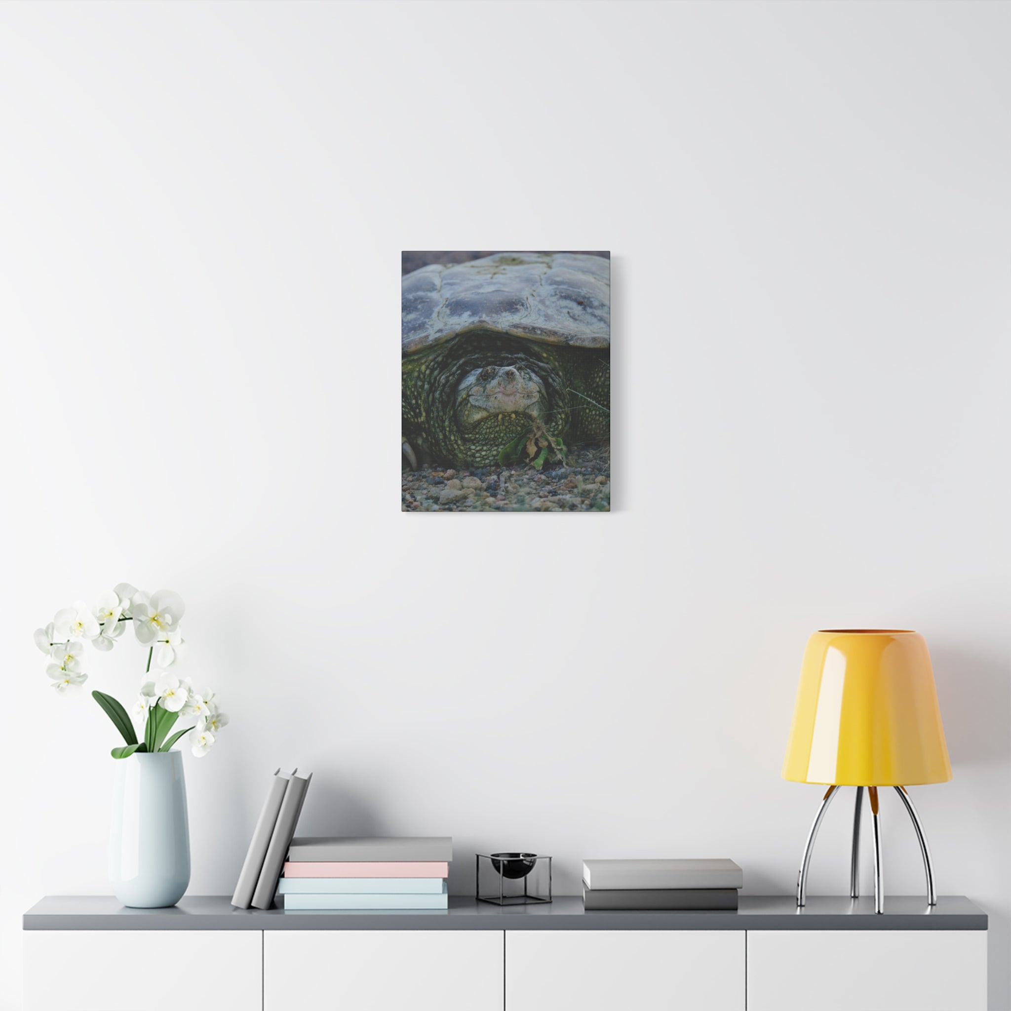 Snapping Turtle Matte Canvas Print – Wildlife Photography Wall Art