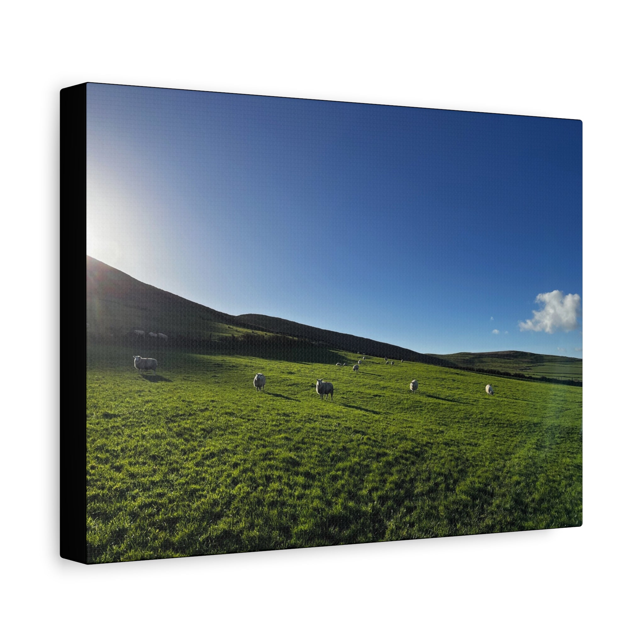 Irish sheep Pasture Canvas Print — Sheep Landscape Matte Stretched Wall Art
