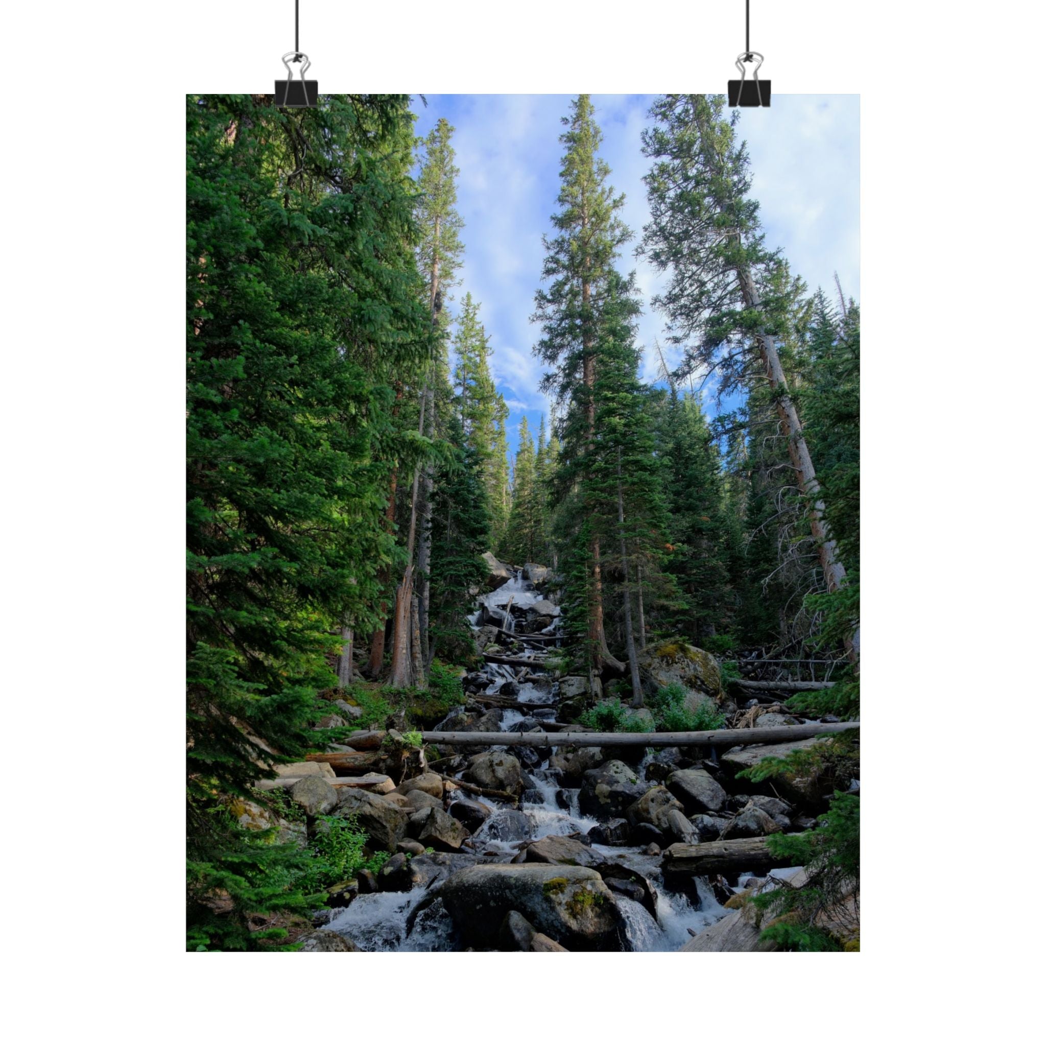 Mountain Stream Forest Matte Poster — Vertical Nature Wall Art