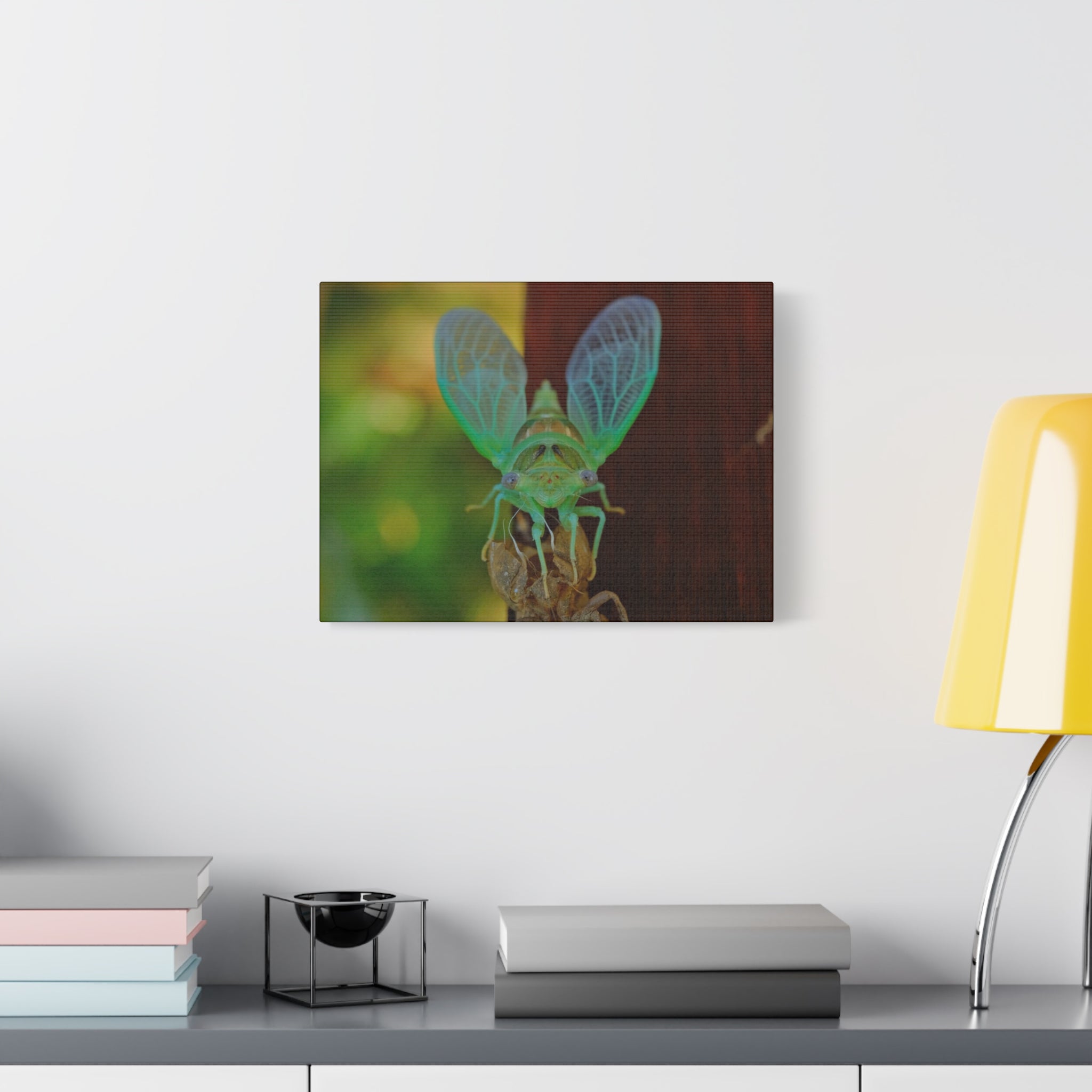 The Cutest Green Cicada Canvas Print - Matte Stretched Wall Art