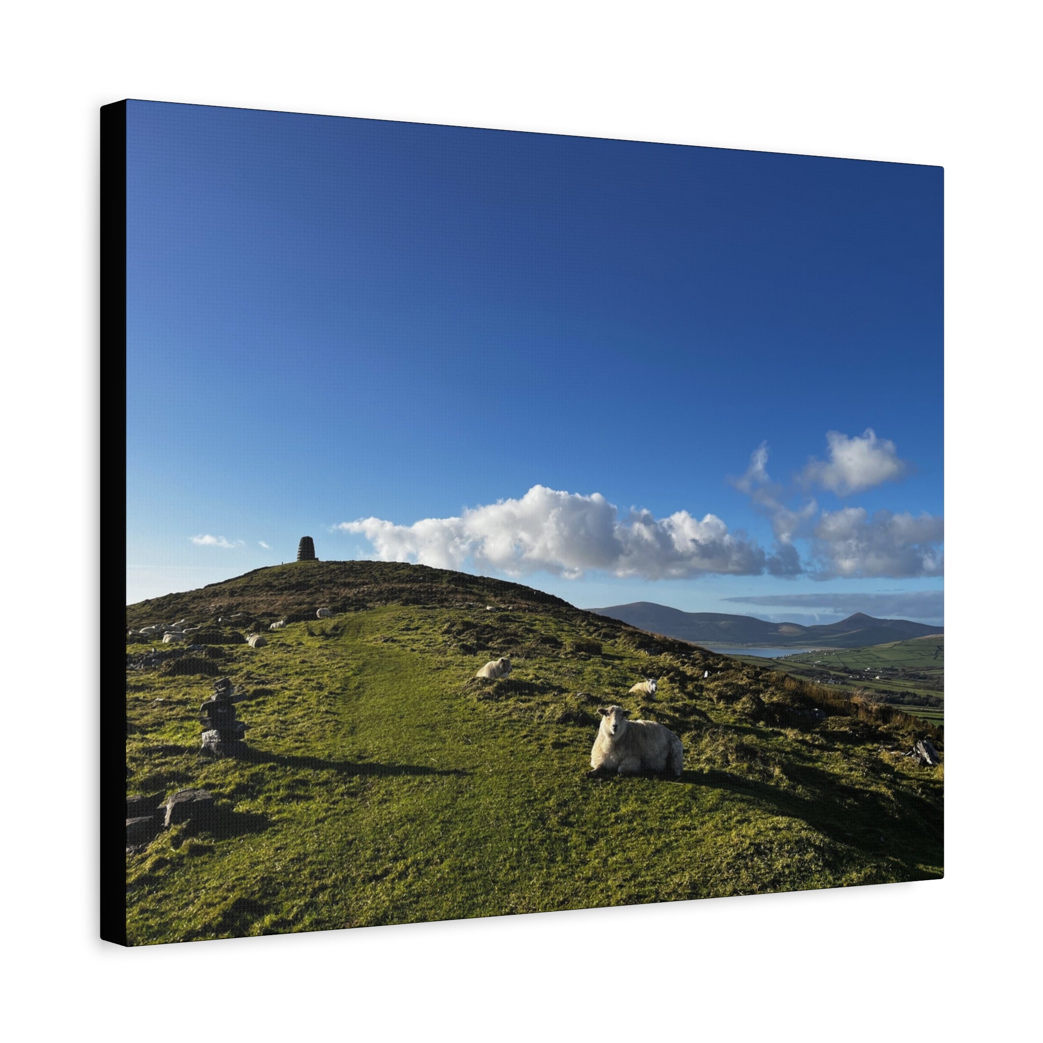 Sheep Lookout Canvas Print – Rolling Green Hills with Blue Sky