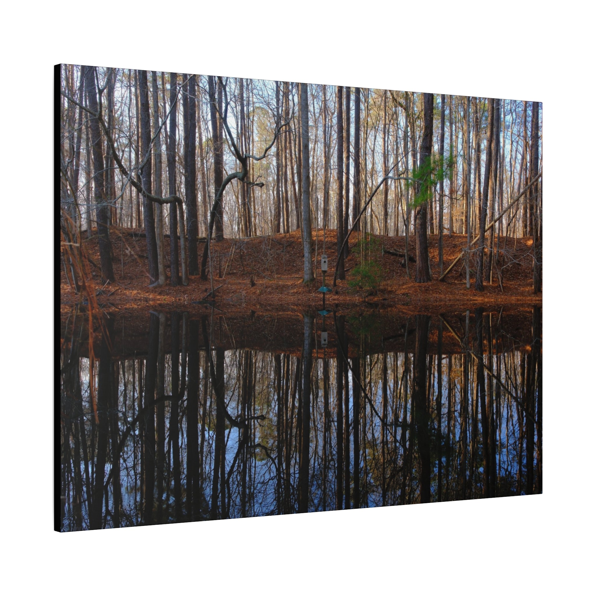 Woodland Reflection Matte Canvas Art – Stretched 1.25" Wall Decor