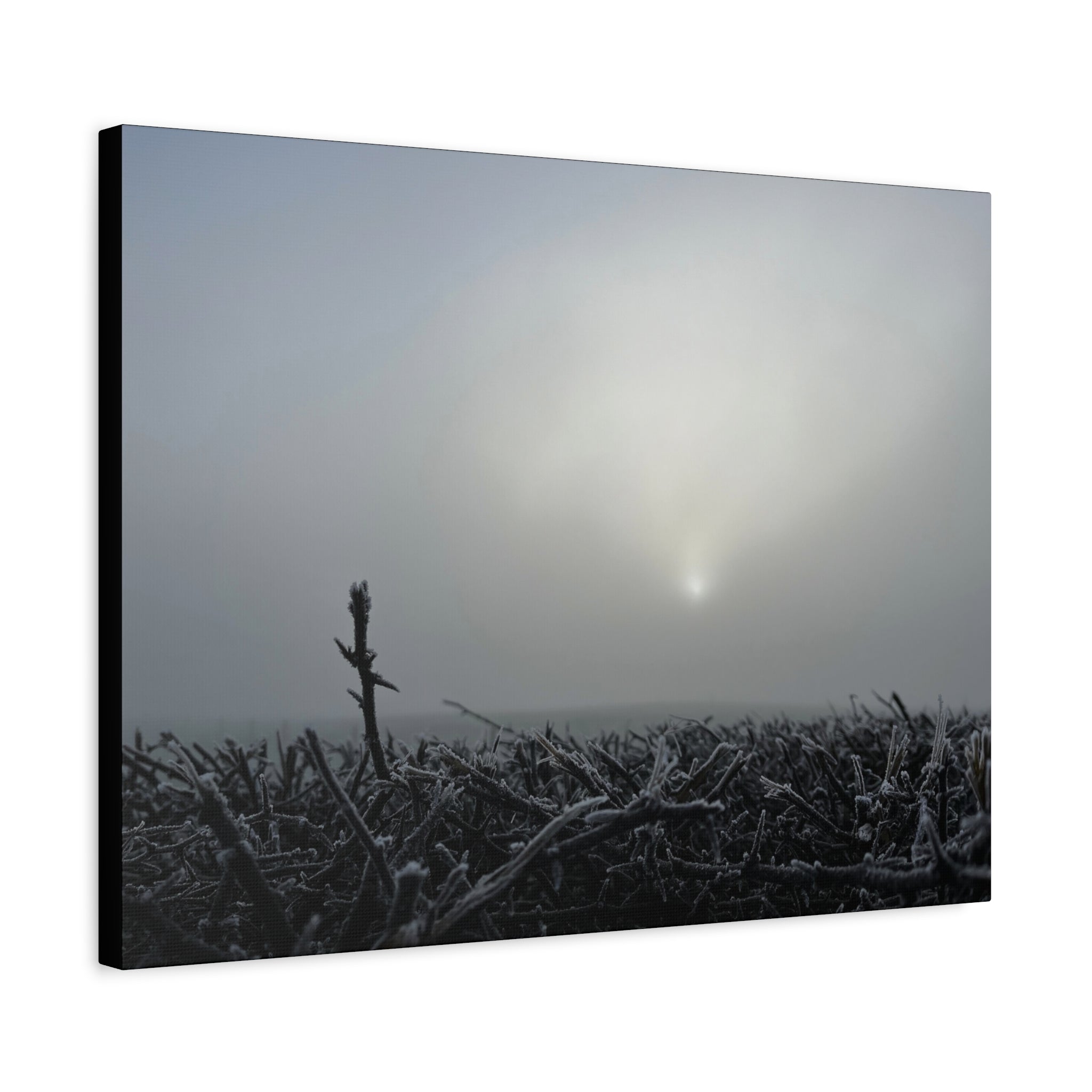 Foggy Sunrise Matte Canvas Wall Art – Moody Winter Landscape