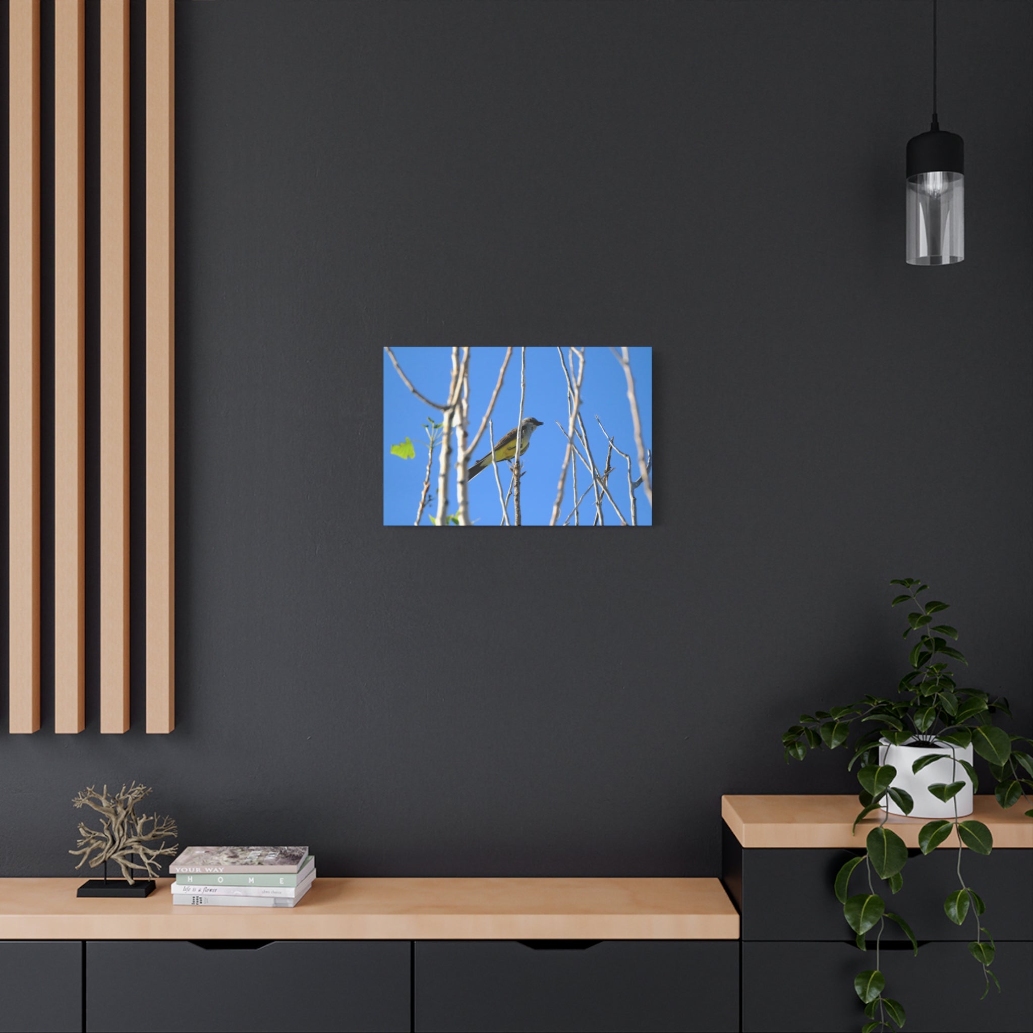 Western King Bird Horizontal Matte Canvas, Stretched, 1.25"