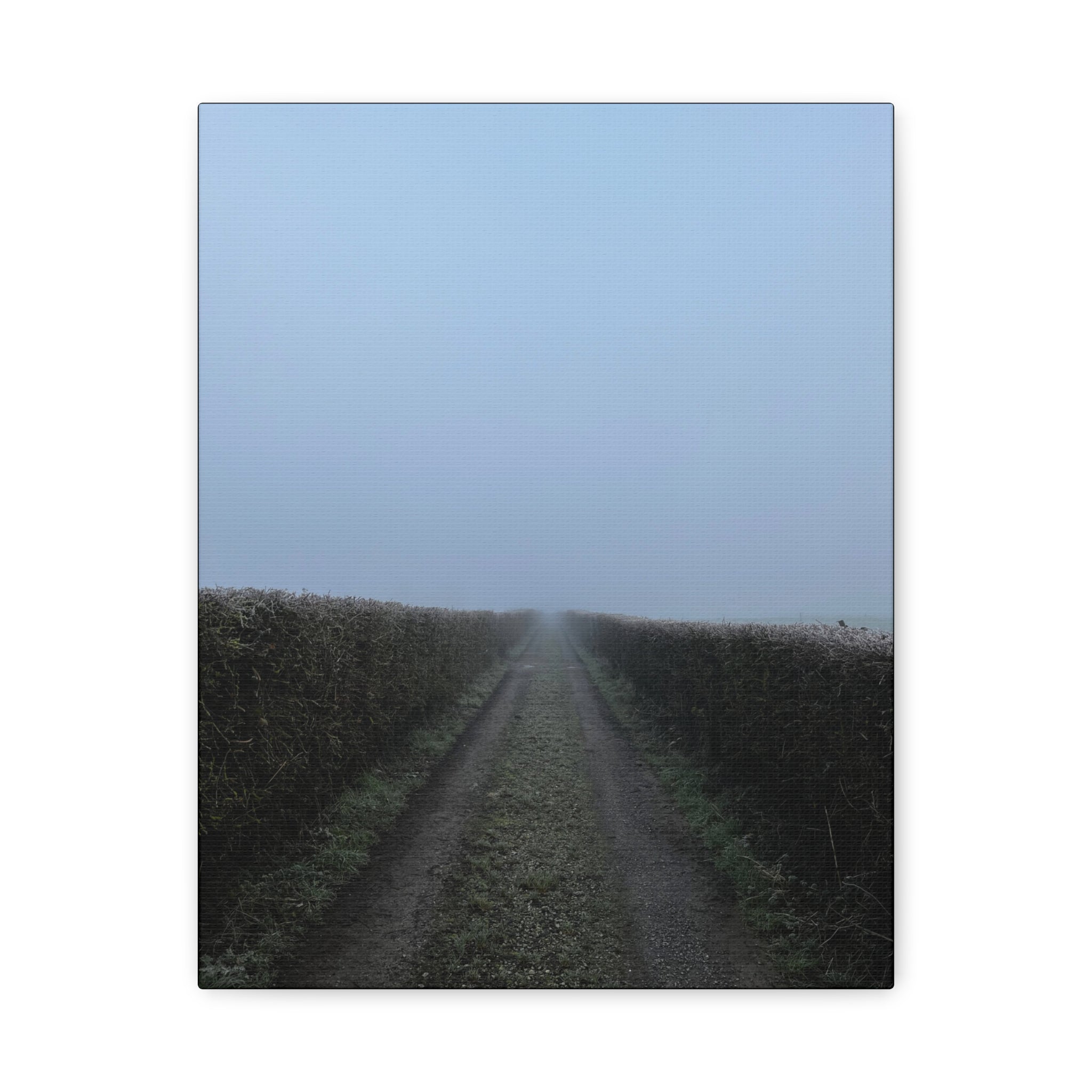 Foggy Country Lane Matte Canvas Wall Art — Stretched 1.25"