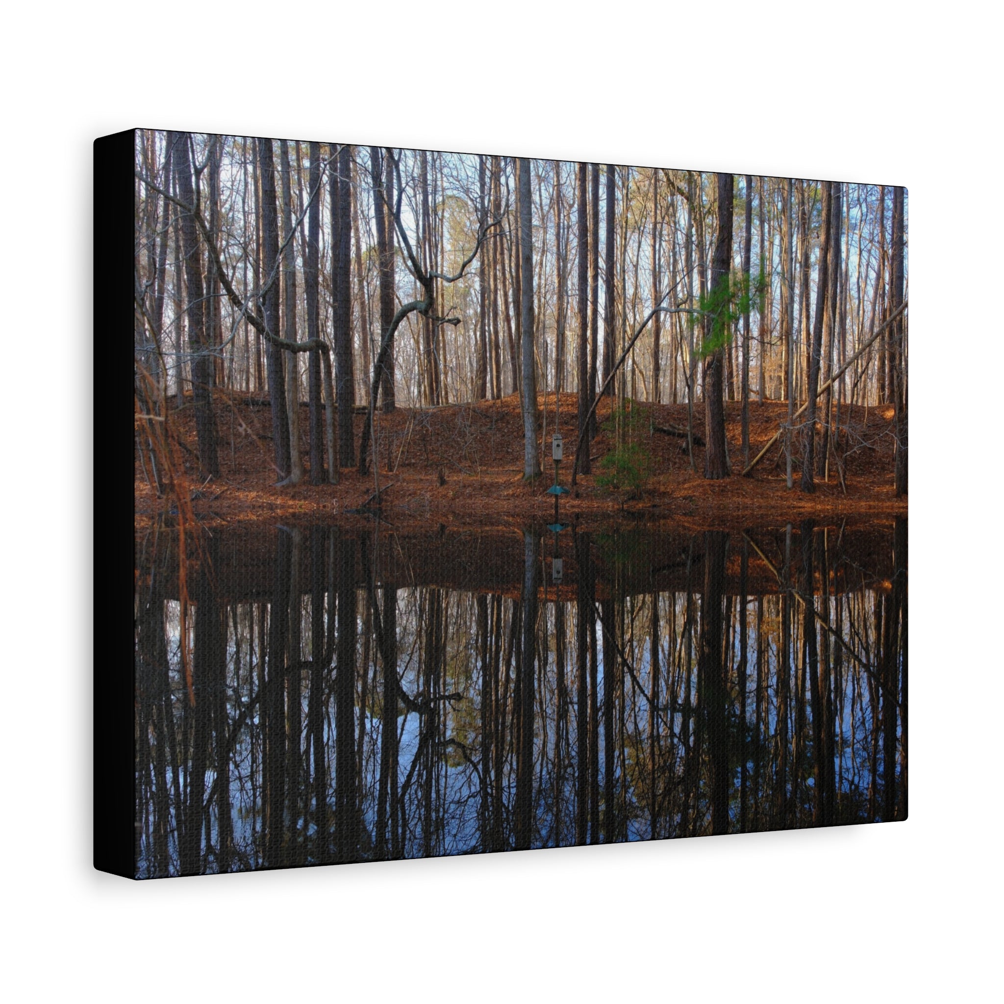 Woodland Reflection Matte Canvas Art – Stretched 1.25" Wall Decor
