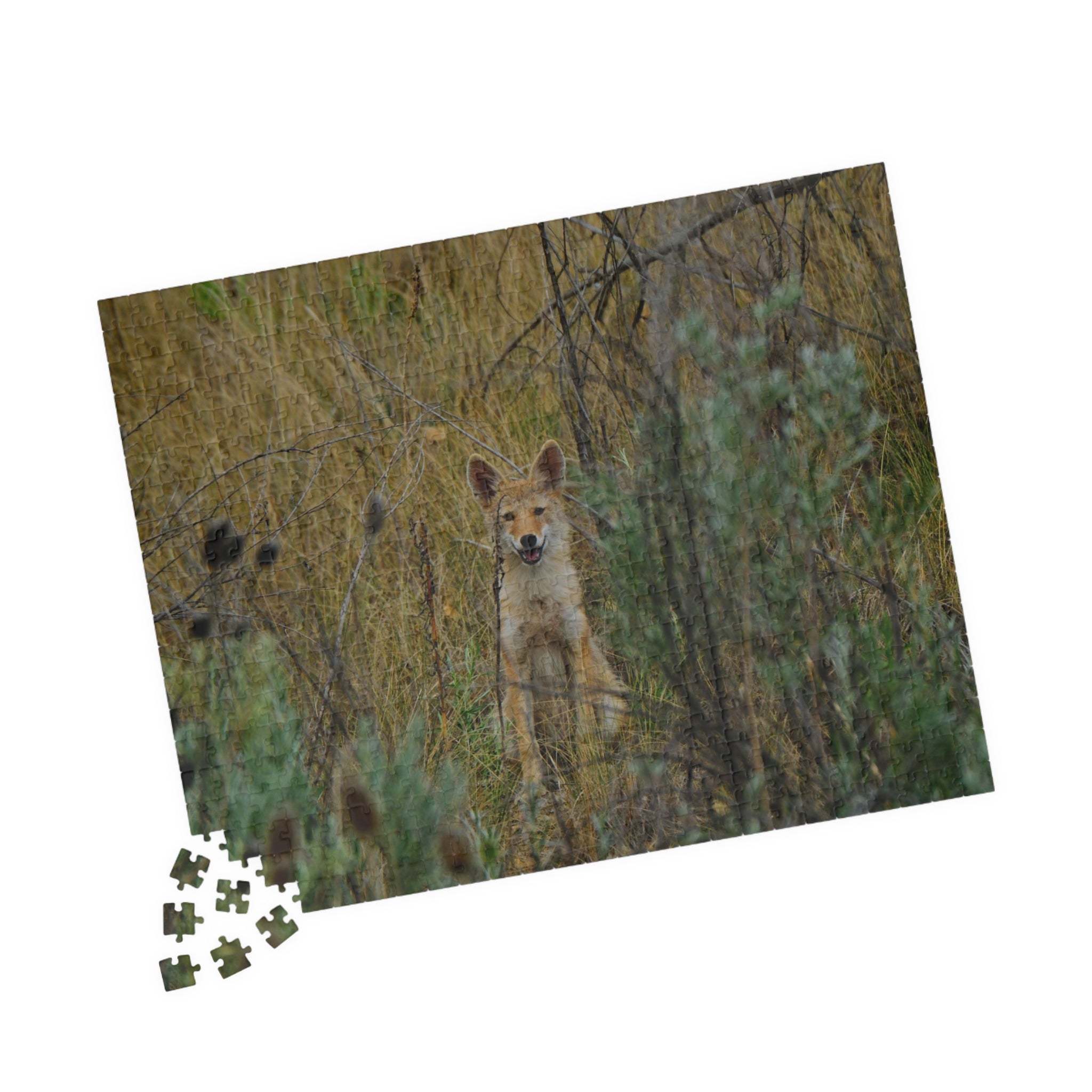 Coyote Pup Puzzle — Wildlife Photo Jigsaw (110/252/520/1014 pcs)